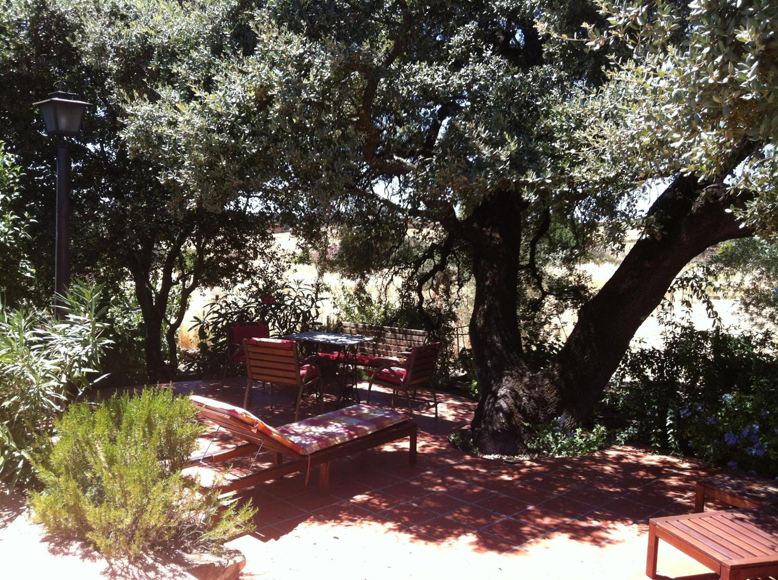 Bungalow photo 3