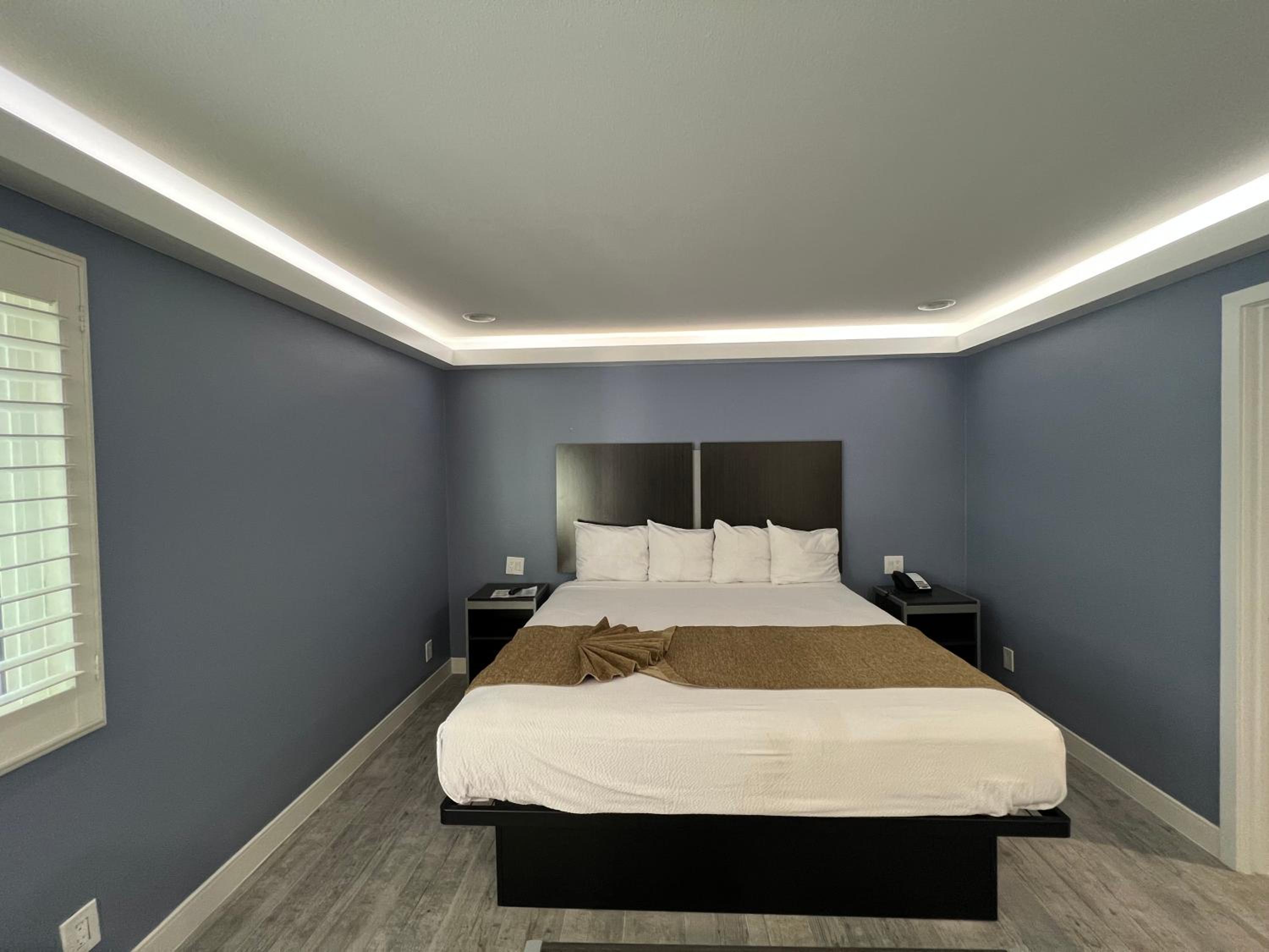 Deluxe King Suite photo 2