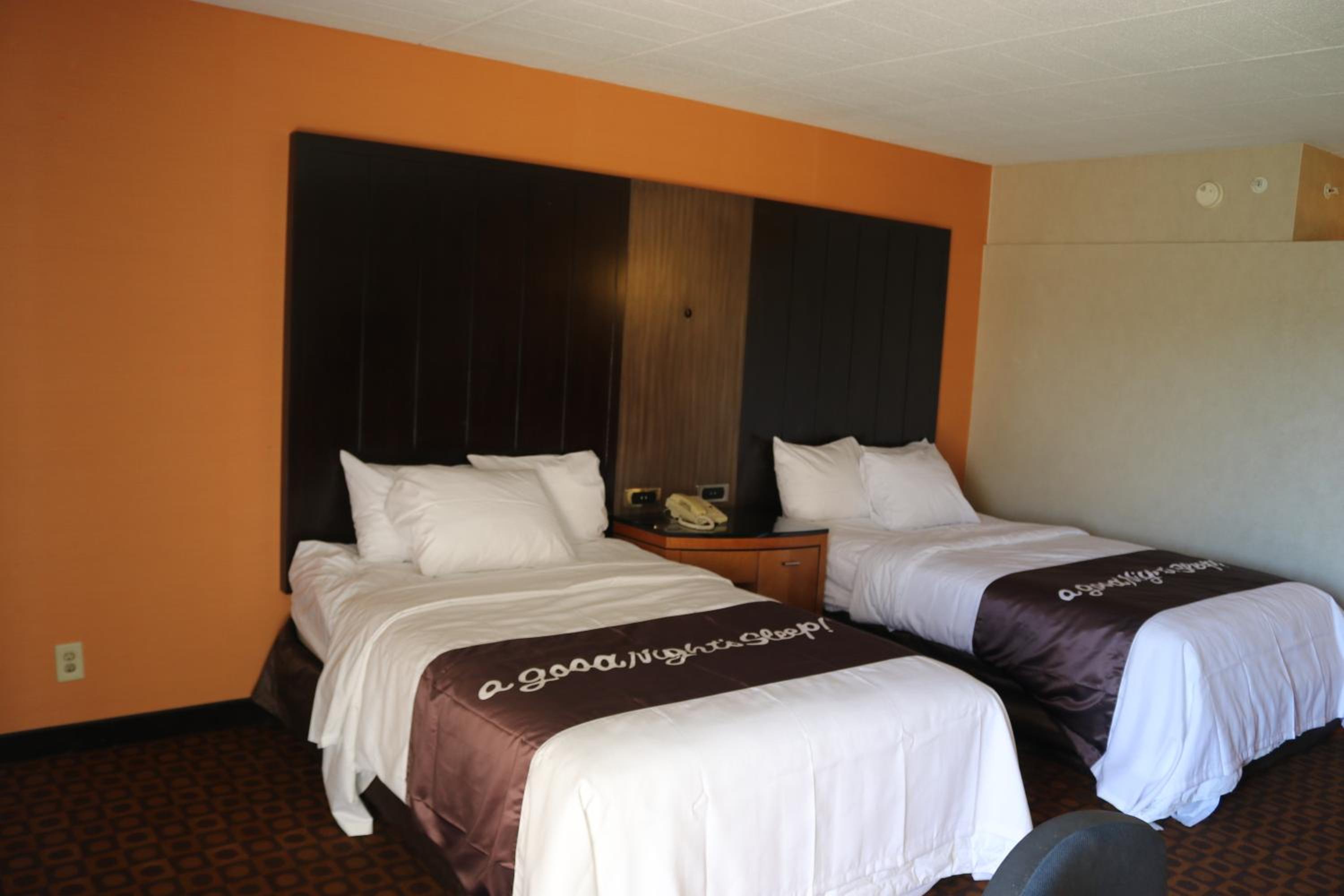 Double Room - Disability Access photo 2
