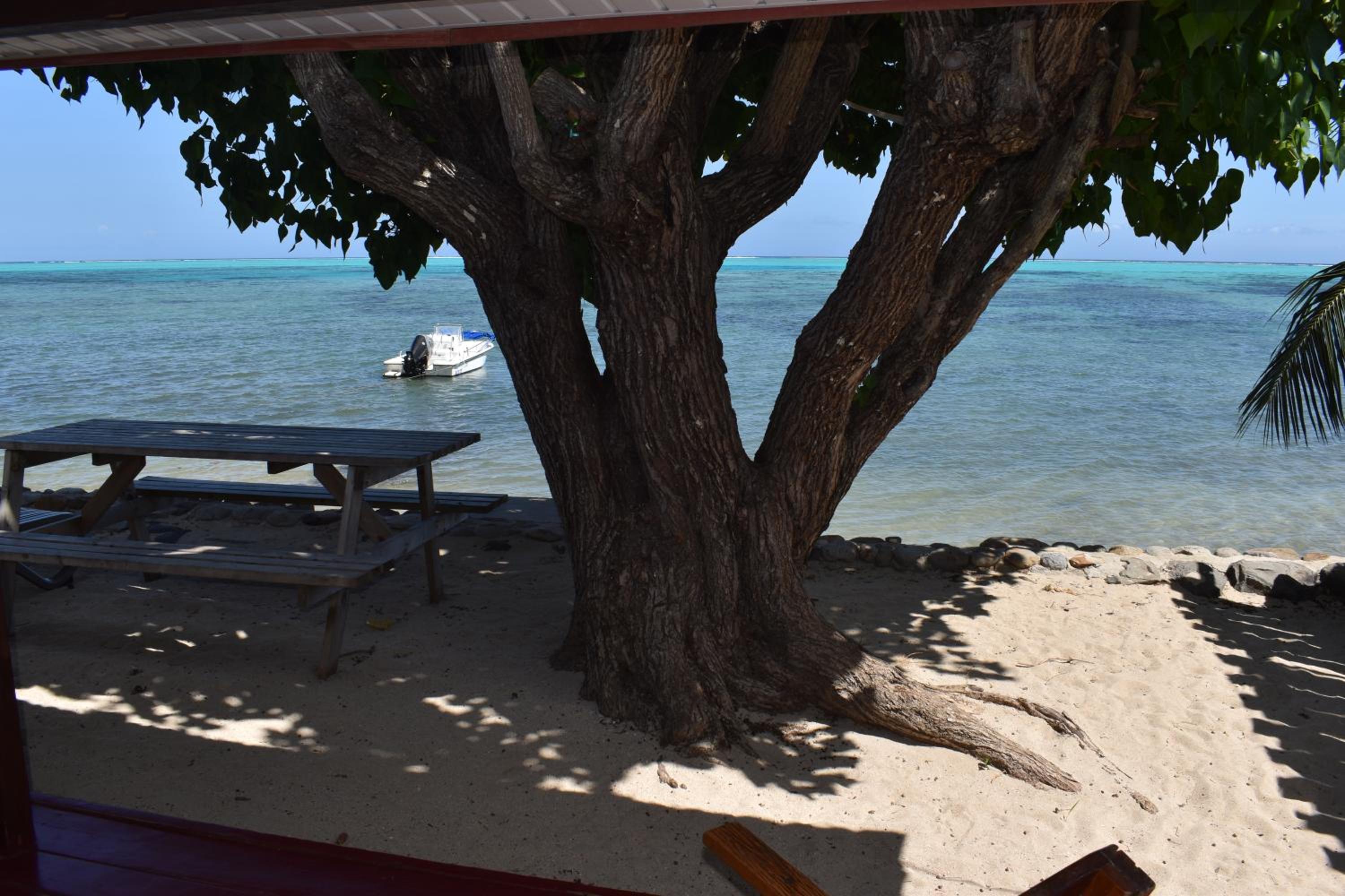 Bungalow - Beach Front - Miro photo 2