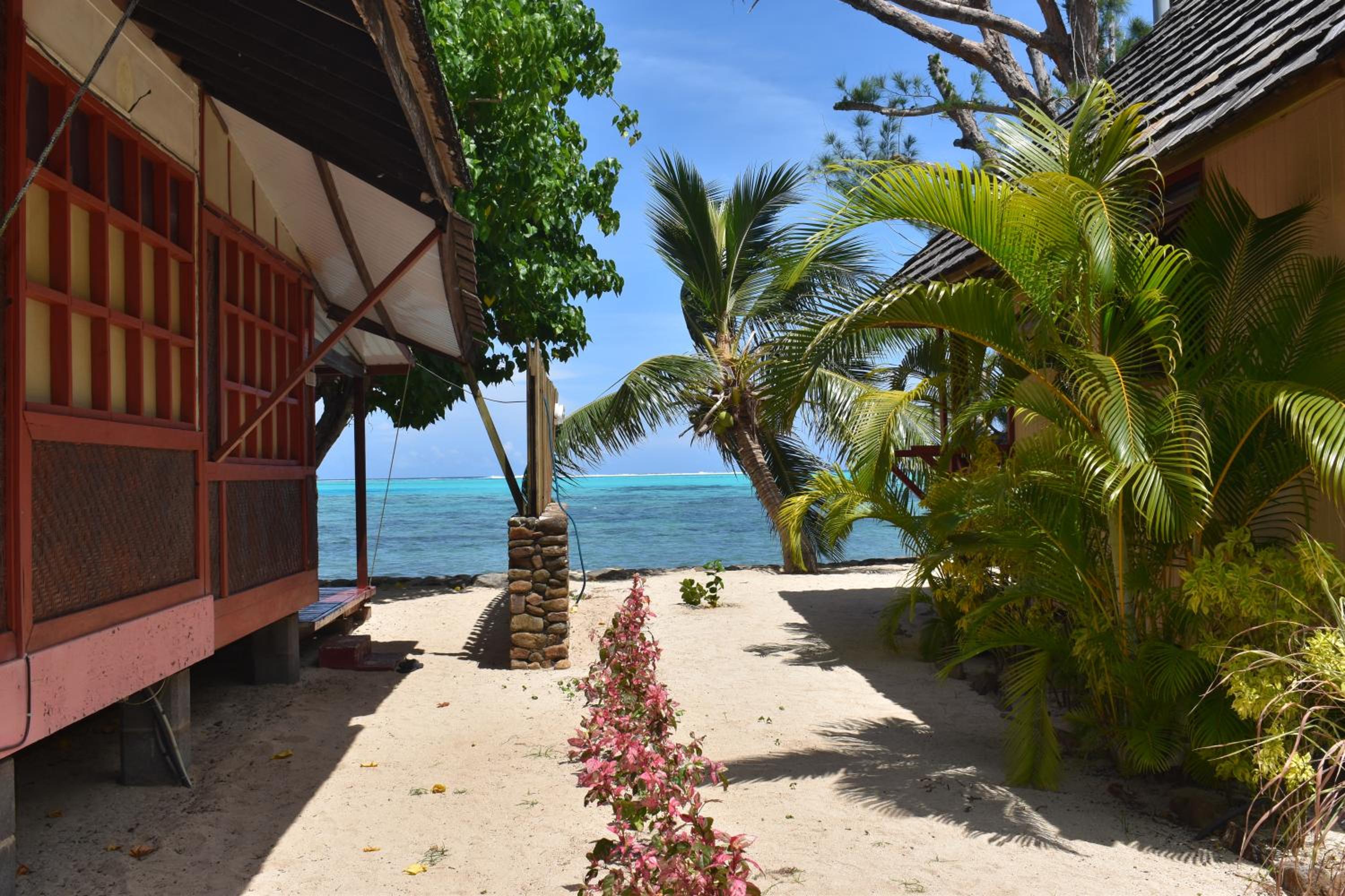 Bungalow - Beach Front - Miro photo 1