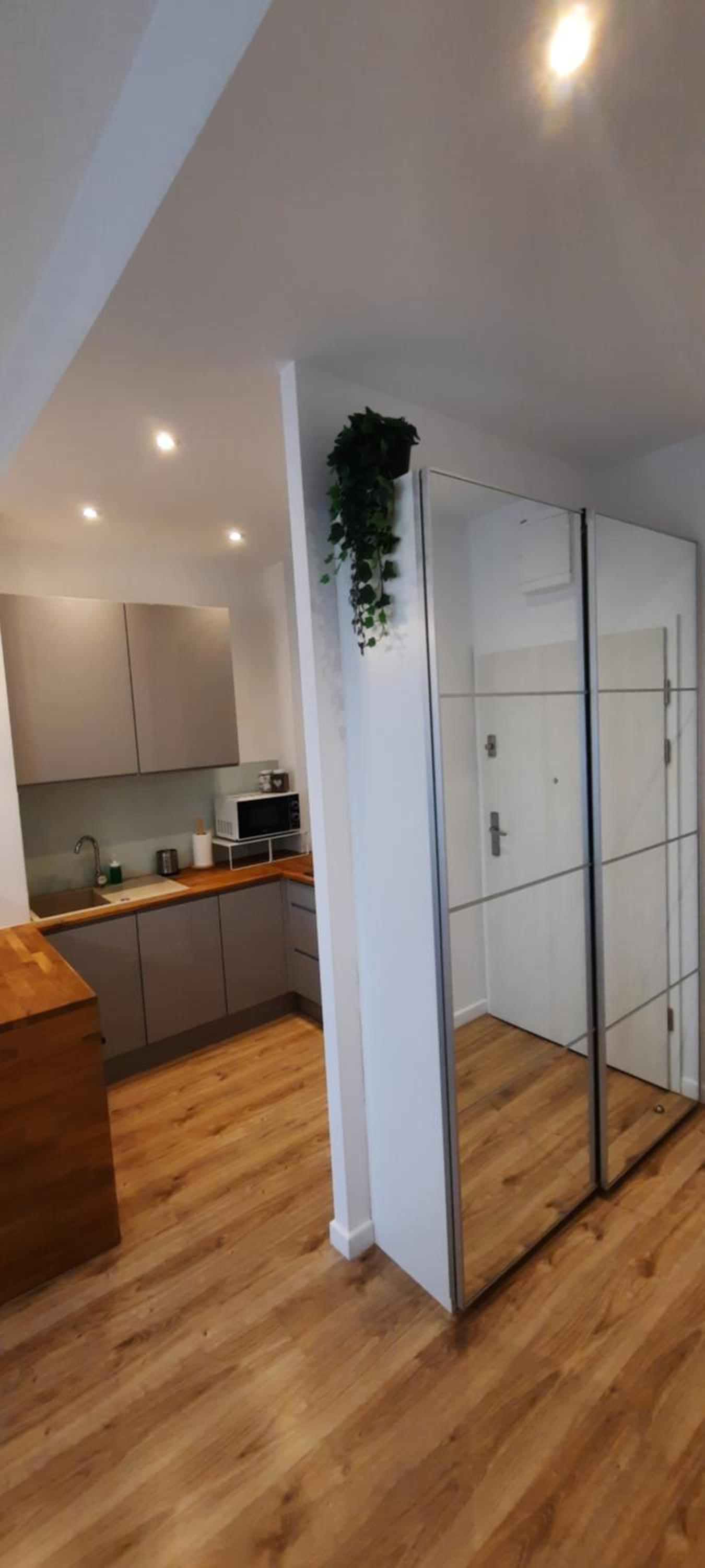 Apartment with Shower photo 1