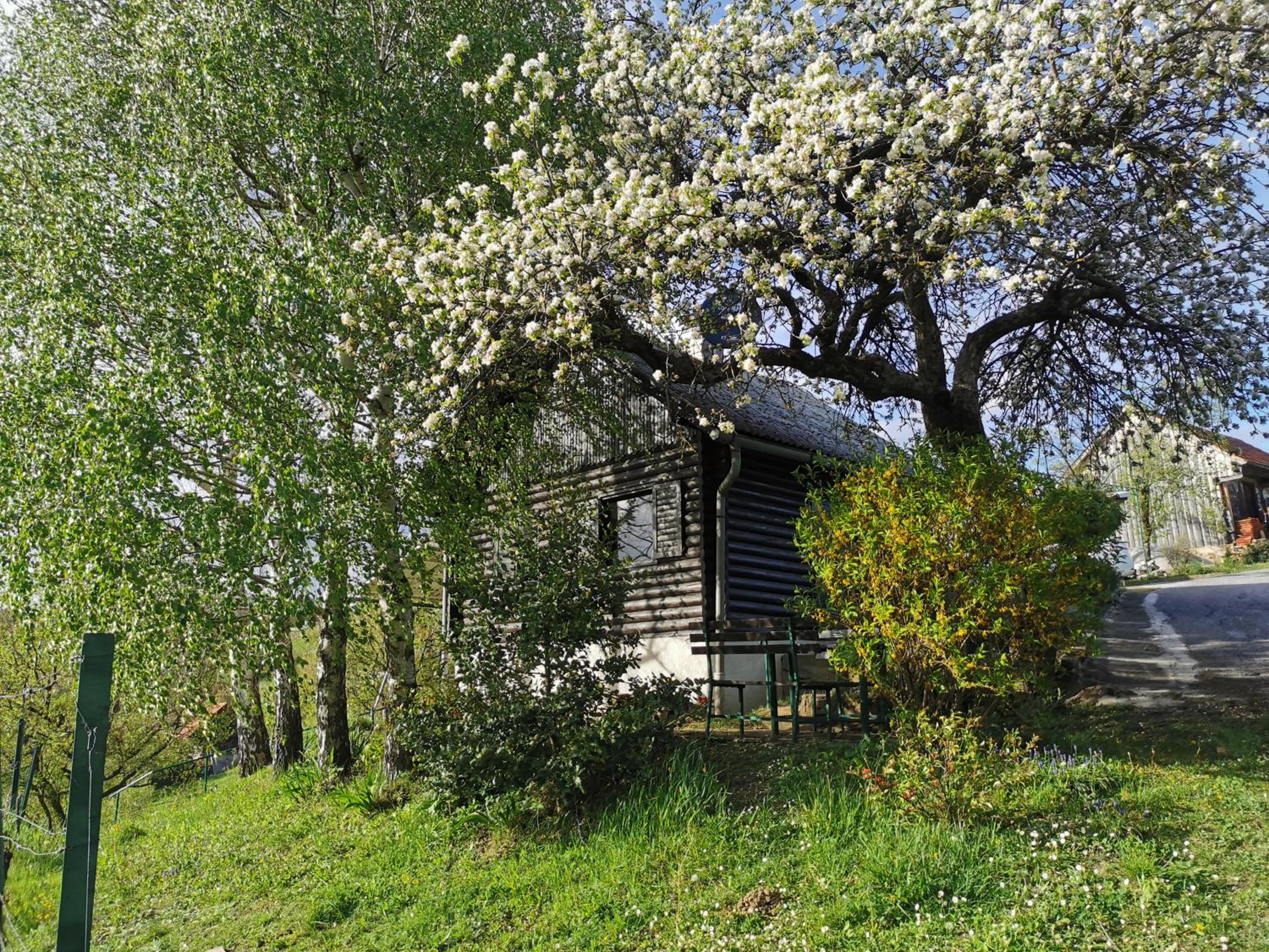 One-Bedroom House - Photo 6