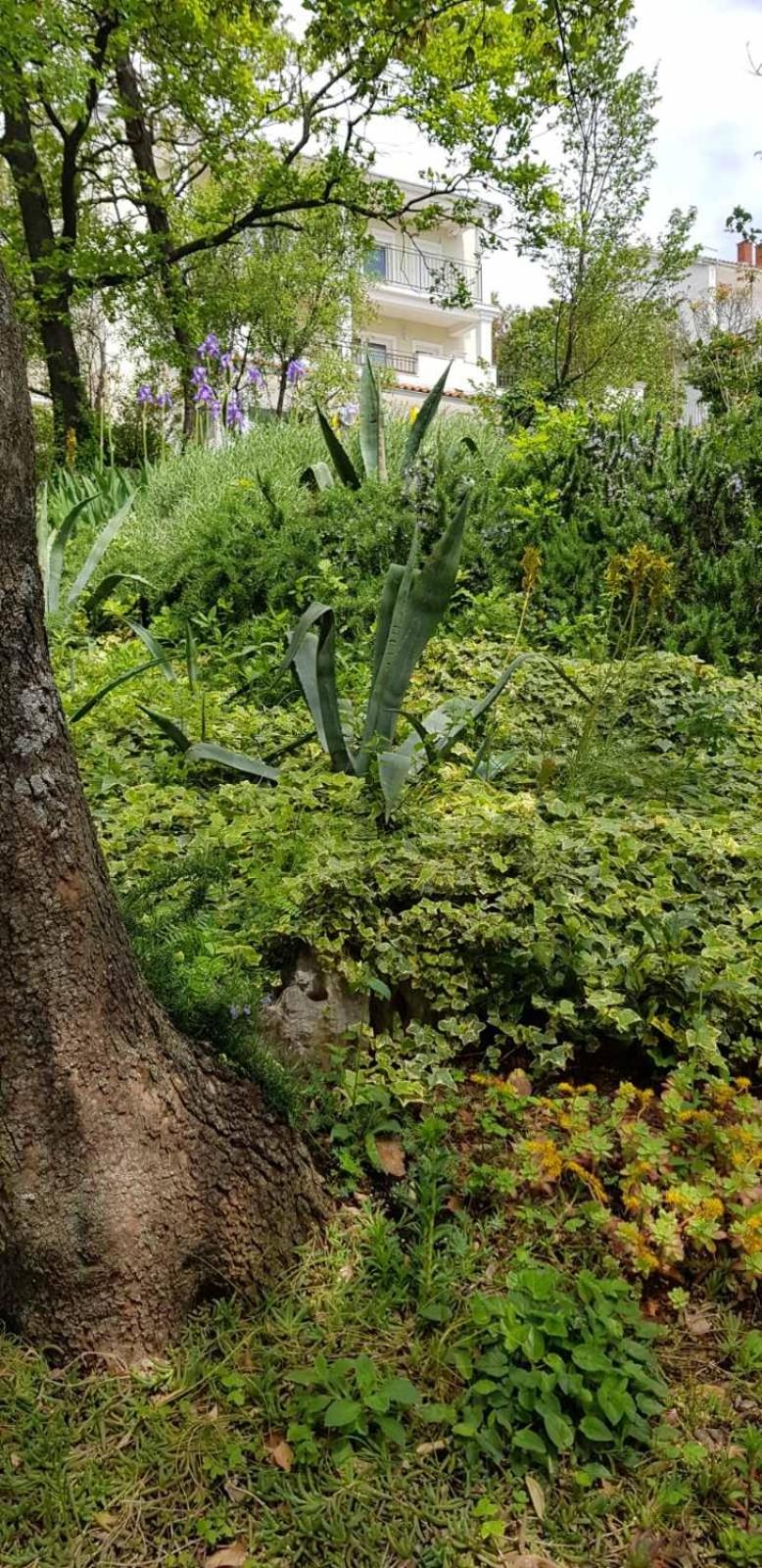Double Room with Garden View photo 3
