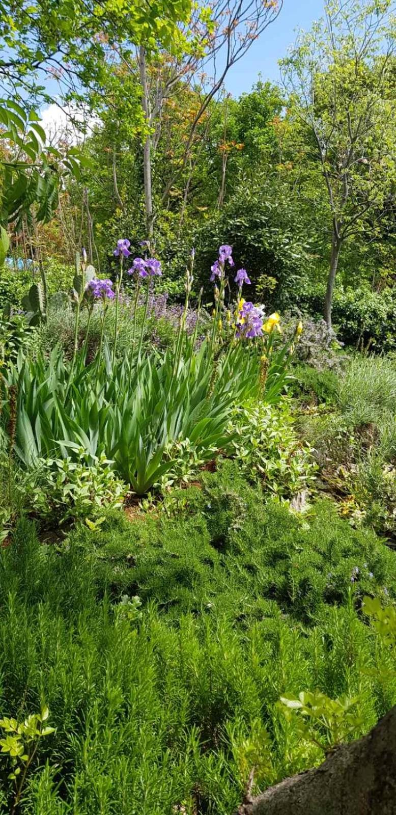 Double Room with Garden View photo 1