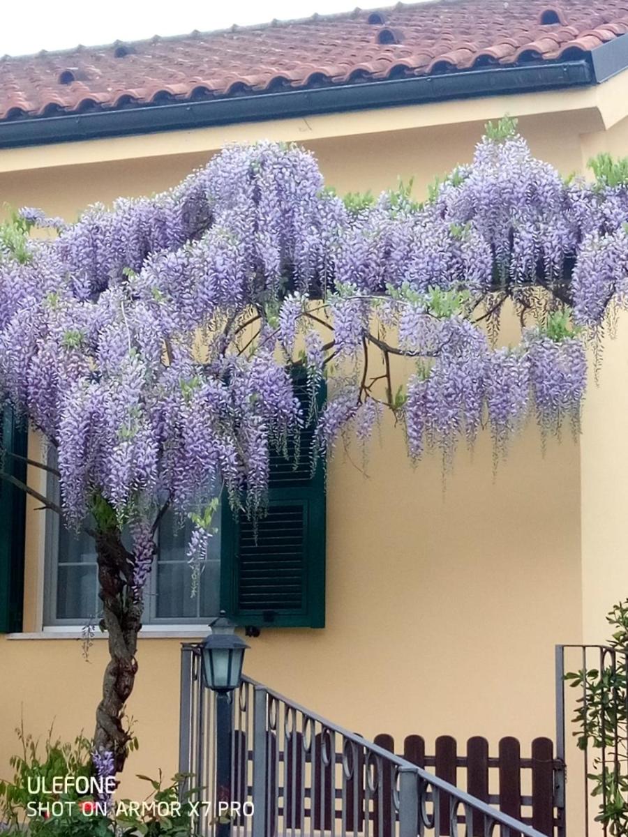 Villa photo 1