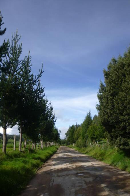 Holiday Home photo 3