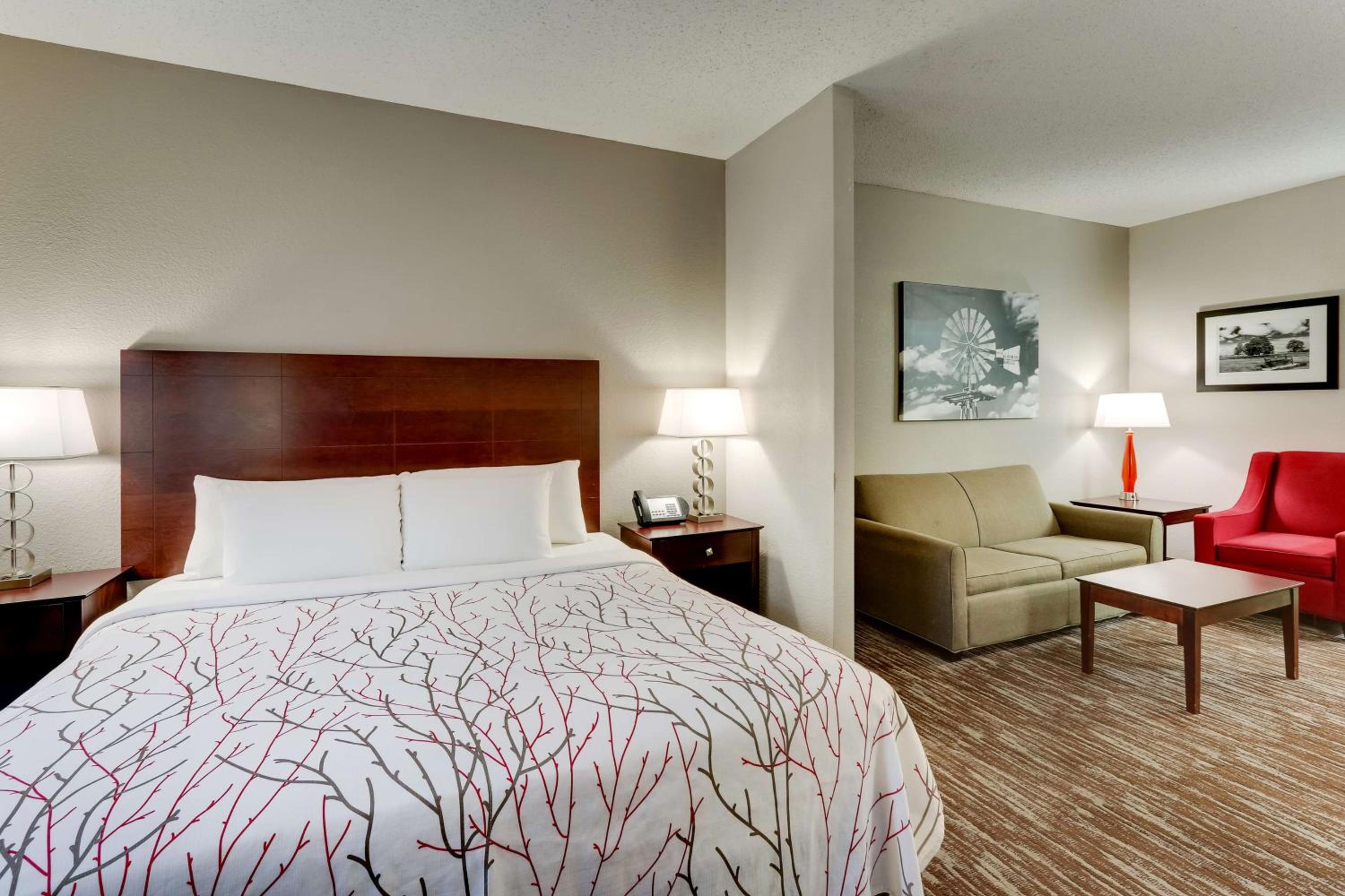 King Suite with Sofa Bed - Photo 1
