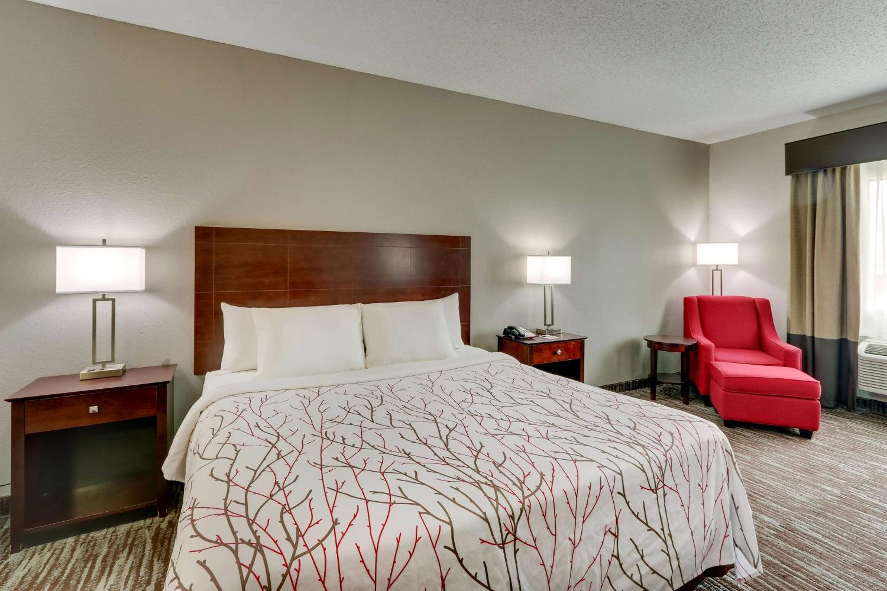 King Suite with Sofa Bed and Jetted Tub - Non-Smoking - Photo 3