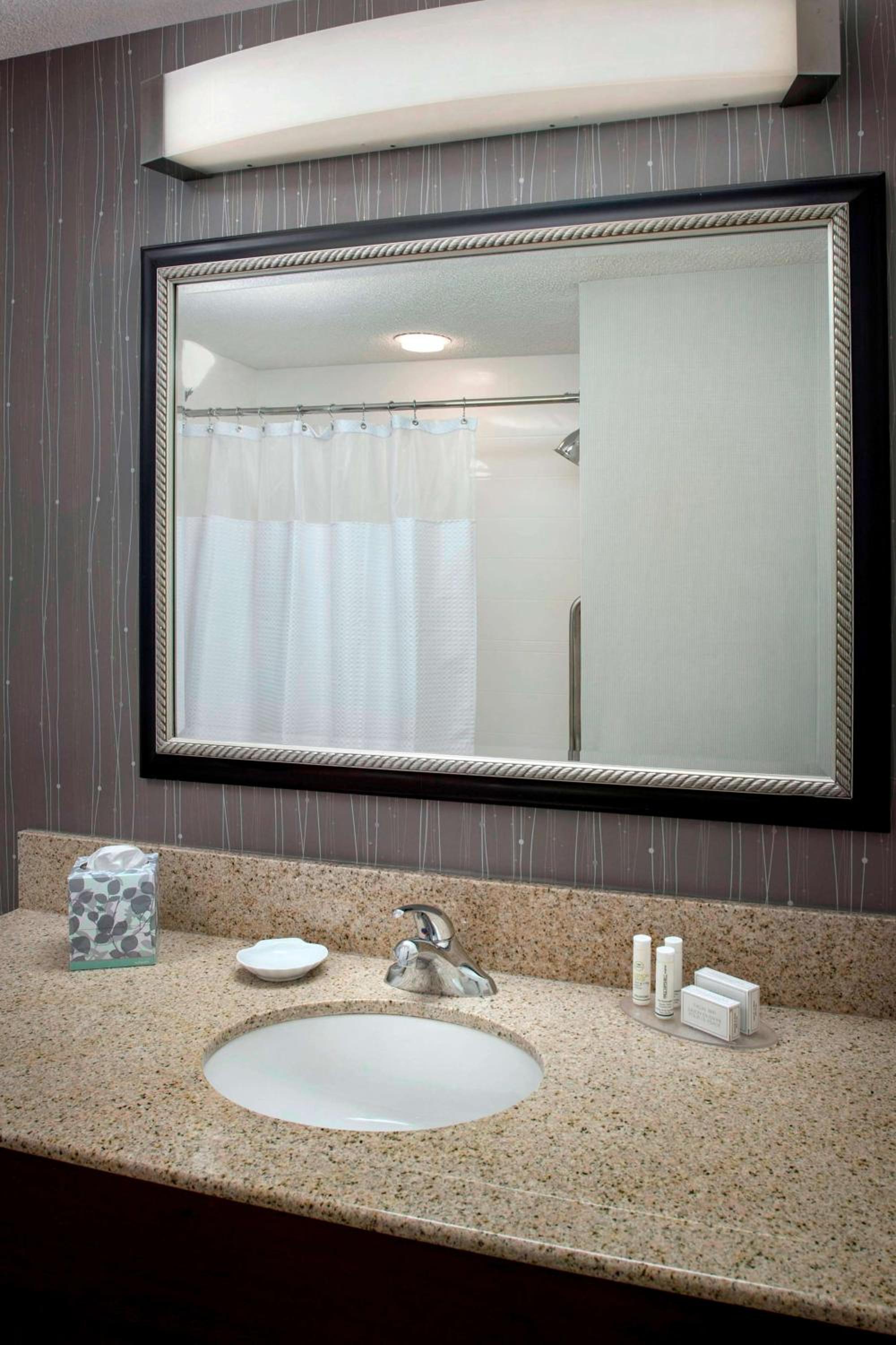 Mobility Accessible Guestroom King Tub - Photo 2