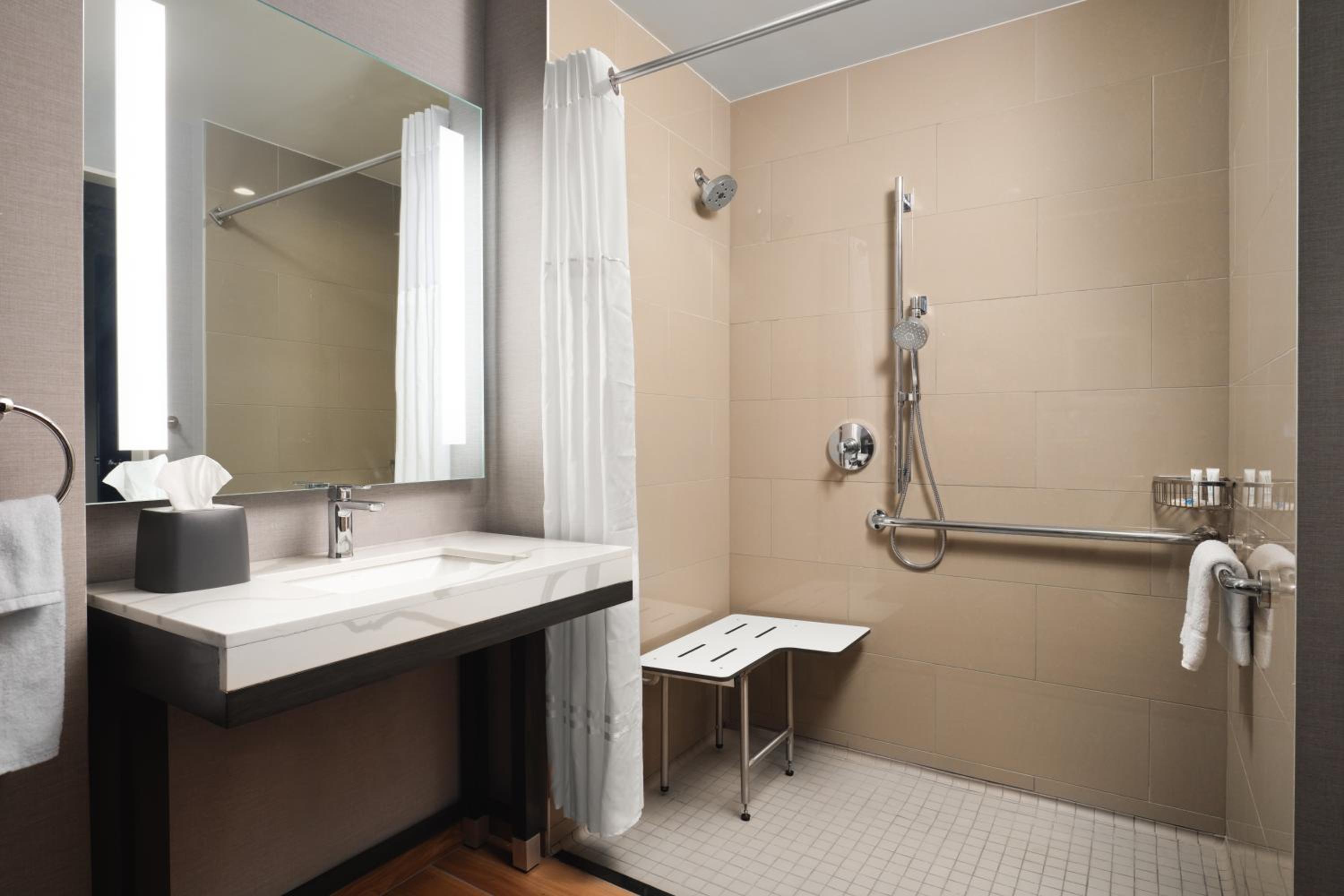 Accessible | King Bed/Roll-in Shower