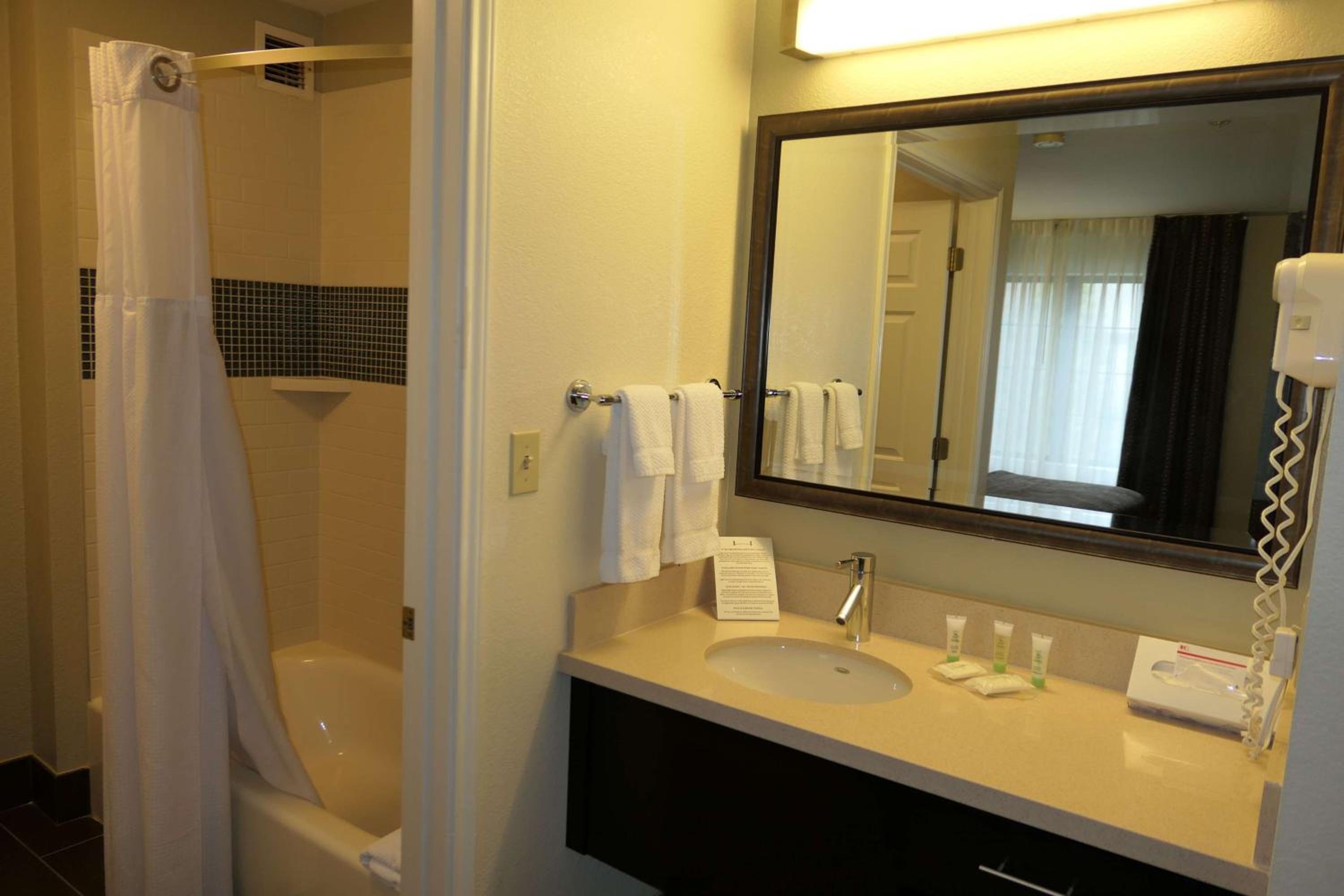 One-Bedroom King Suite - Photo 4