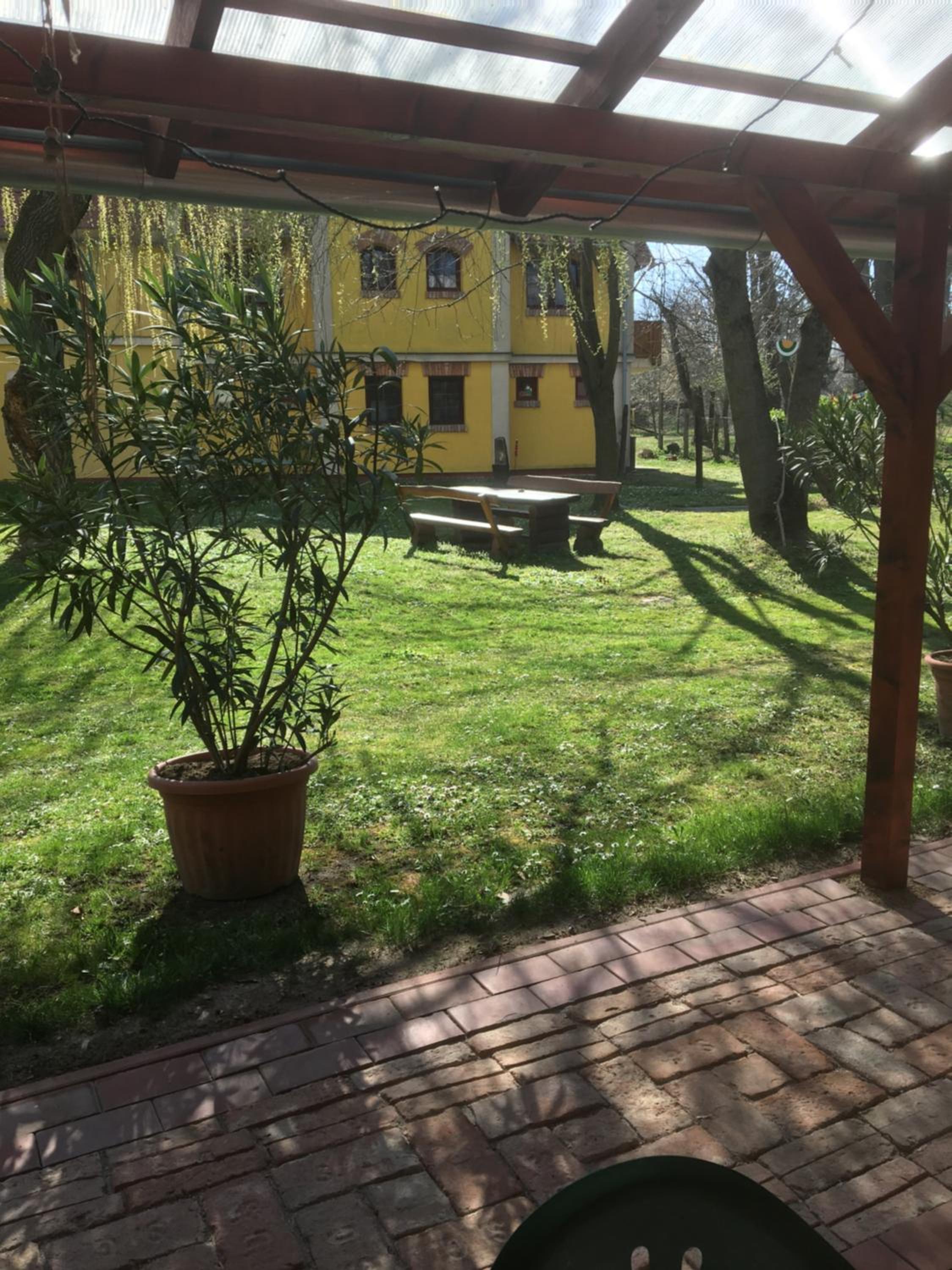 Studio with Garden View photo 2