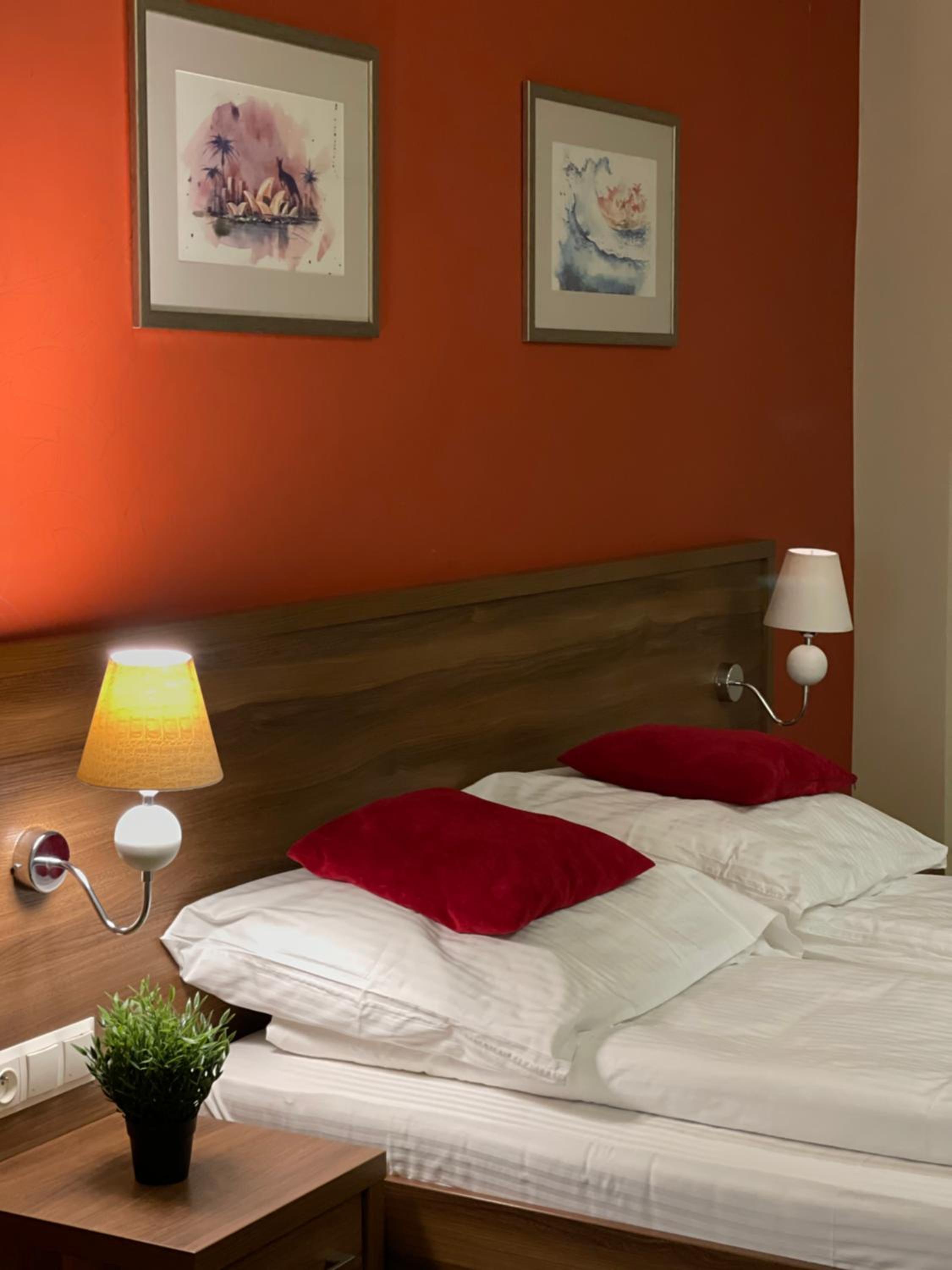 Deluxe Double Room - Photo 6
