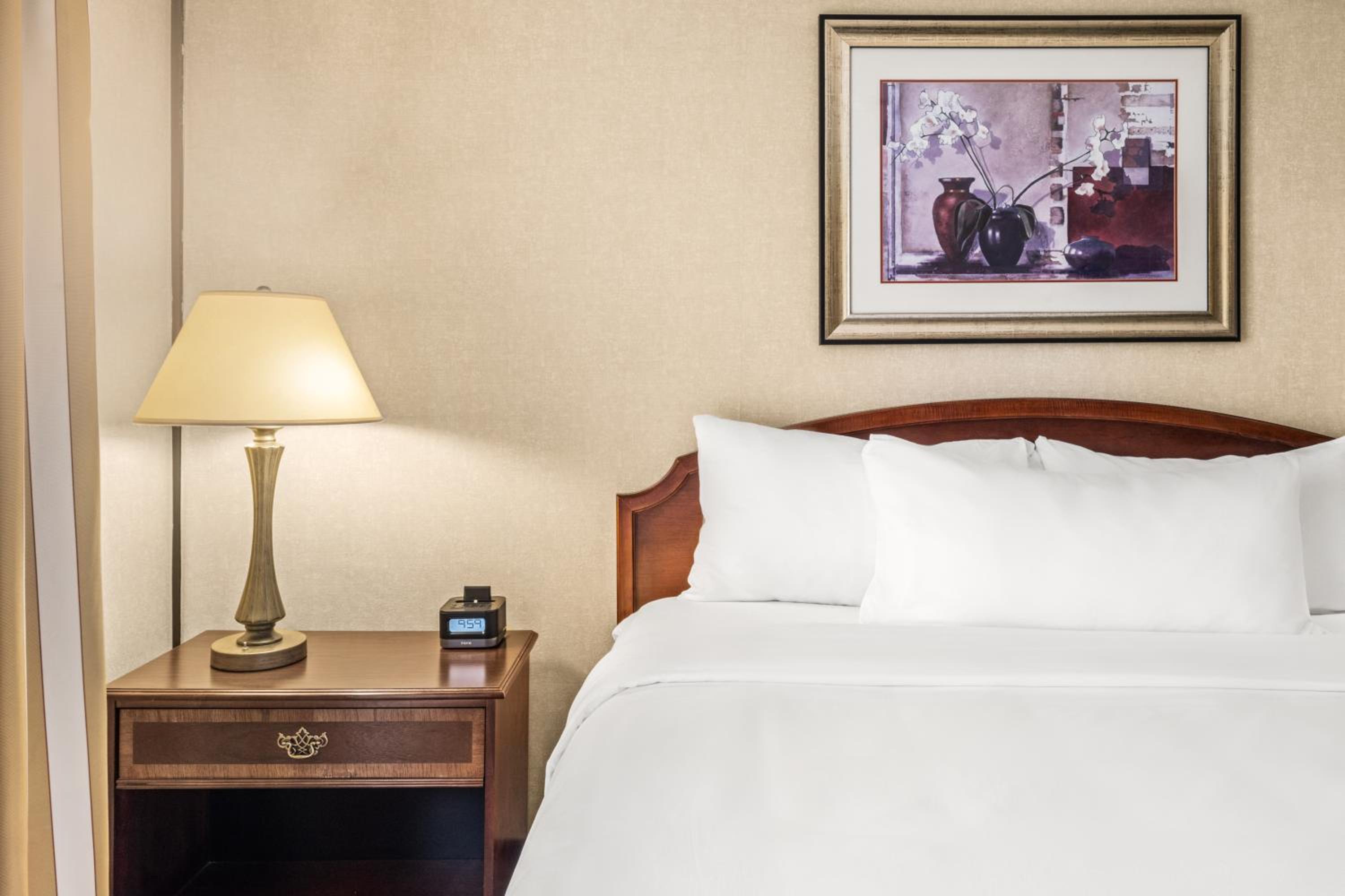Deluxe Suite photo 1