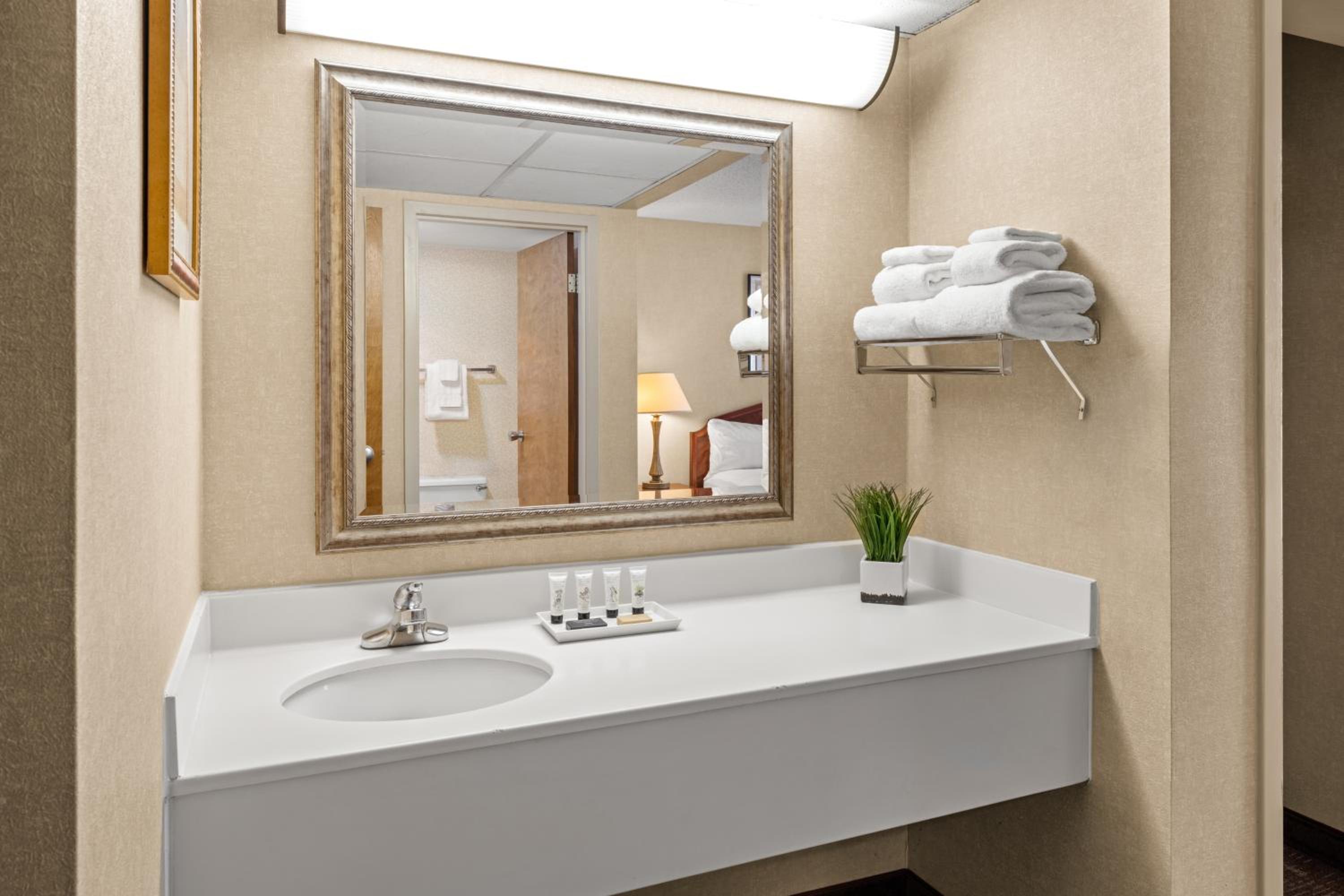 Suite with Hot Tub - Photo 4