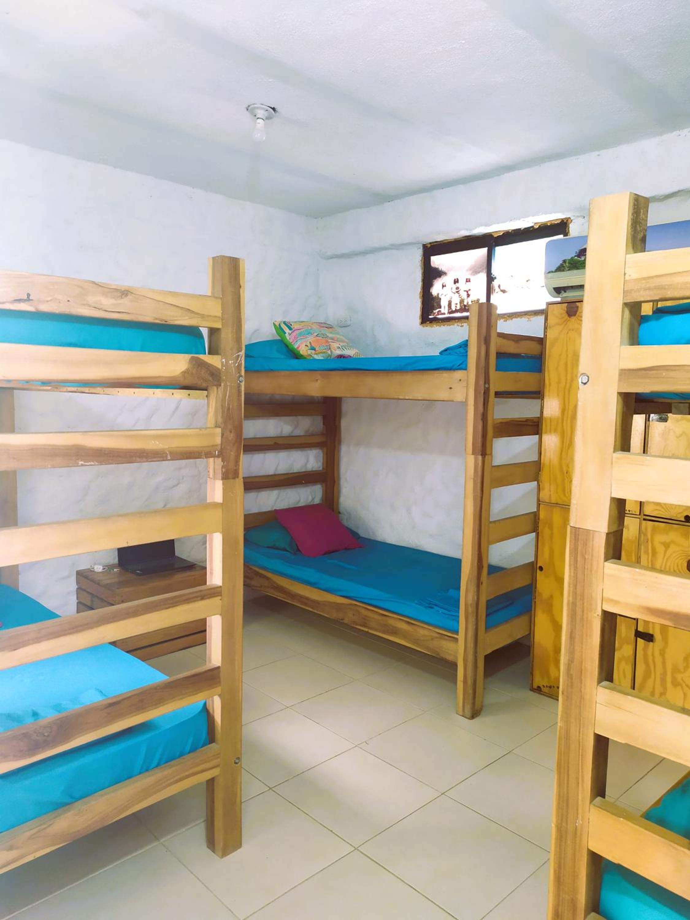 Bed in 6-Bed Dormitory Room