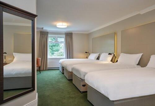 Quadruple Room - Photo 2