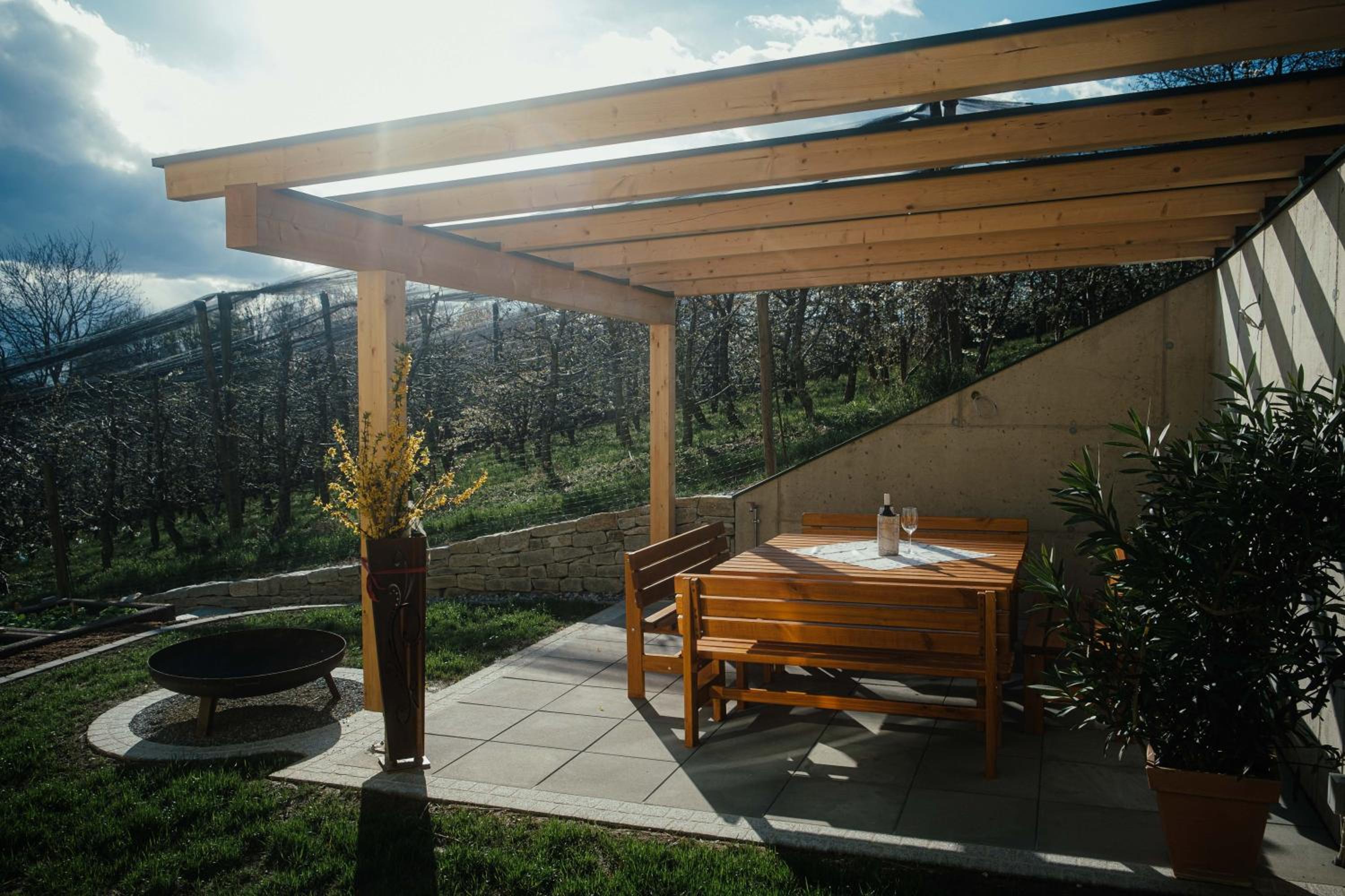 Apartment with Terrace photo 2