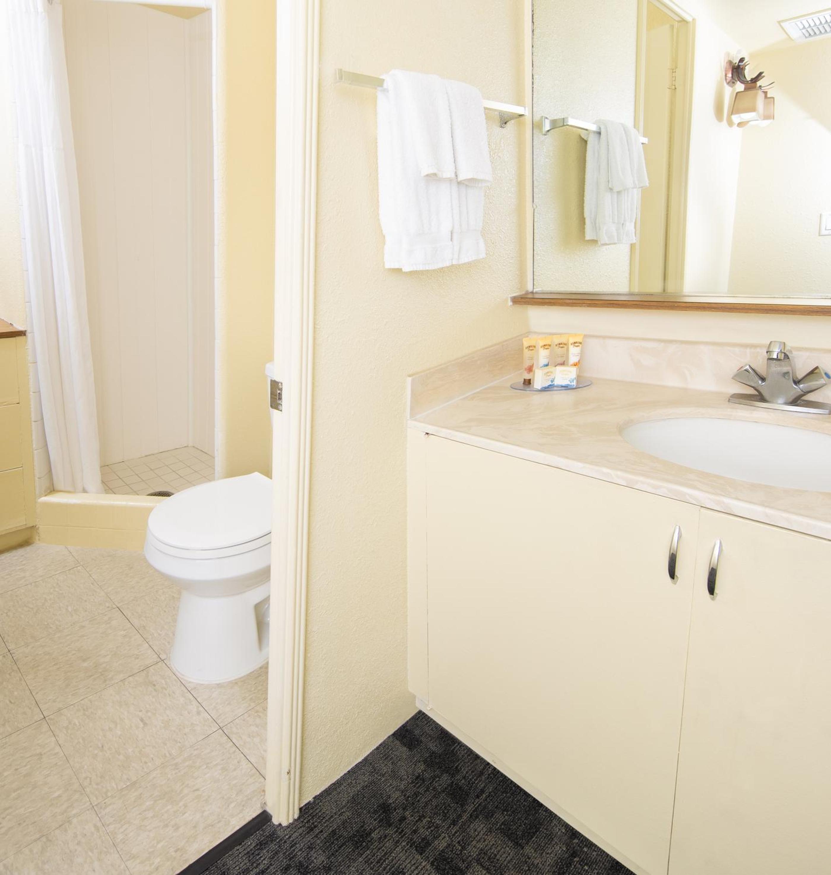 Sky View Residential Suite One King & Two Doubles with Kitchen photo 3