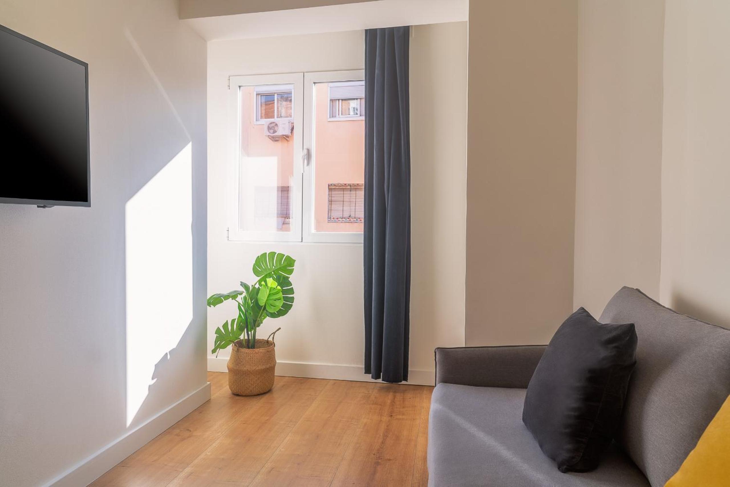 One-Bedroom Apartment photo 2