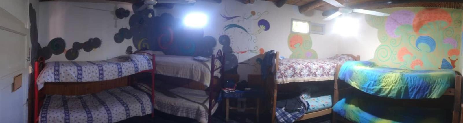 Bed In 8-Bed Dormitory Room photo 2