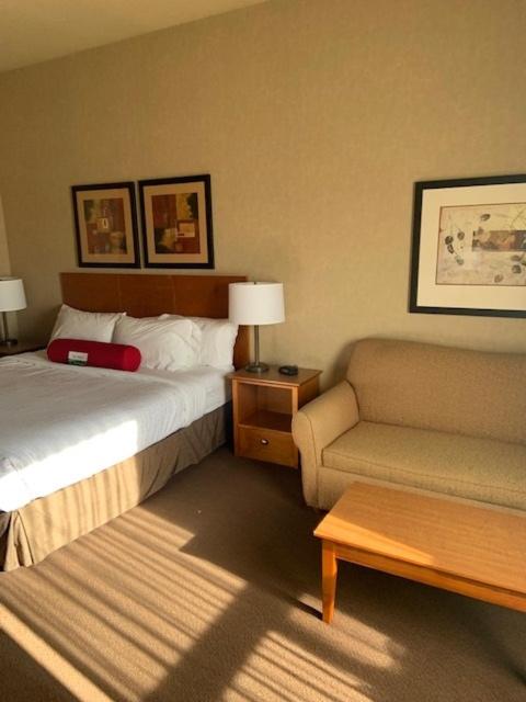 King Room With Roll-In Shower - Disability Access/Non Smoking/Ground Floor - Photo 35