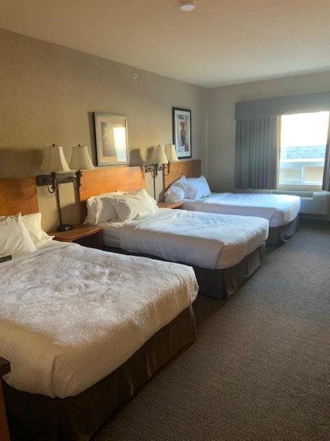 King Room With Roll-In Shower - Disability Access/Non Smoking/Ground Floor - Photo 49
