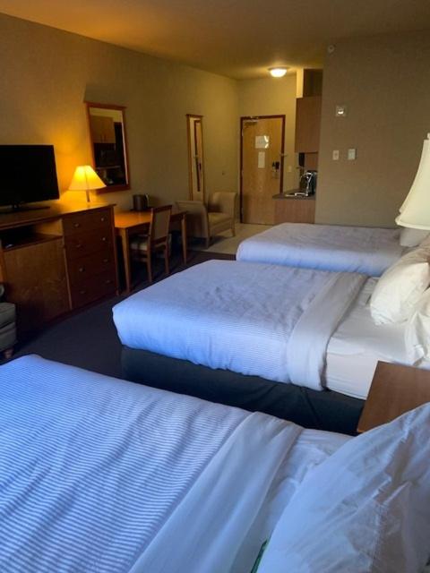 King Room With Roll-In Shower - Disability Access/Non Smoking/Ground Floor - Photo 51