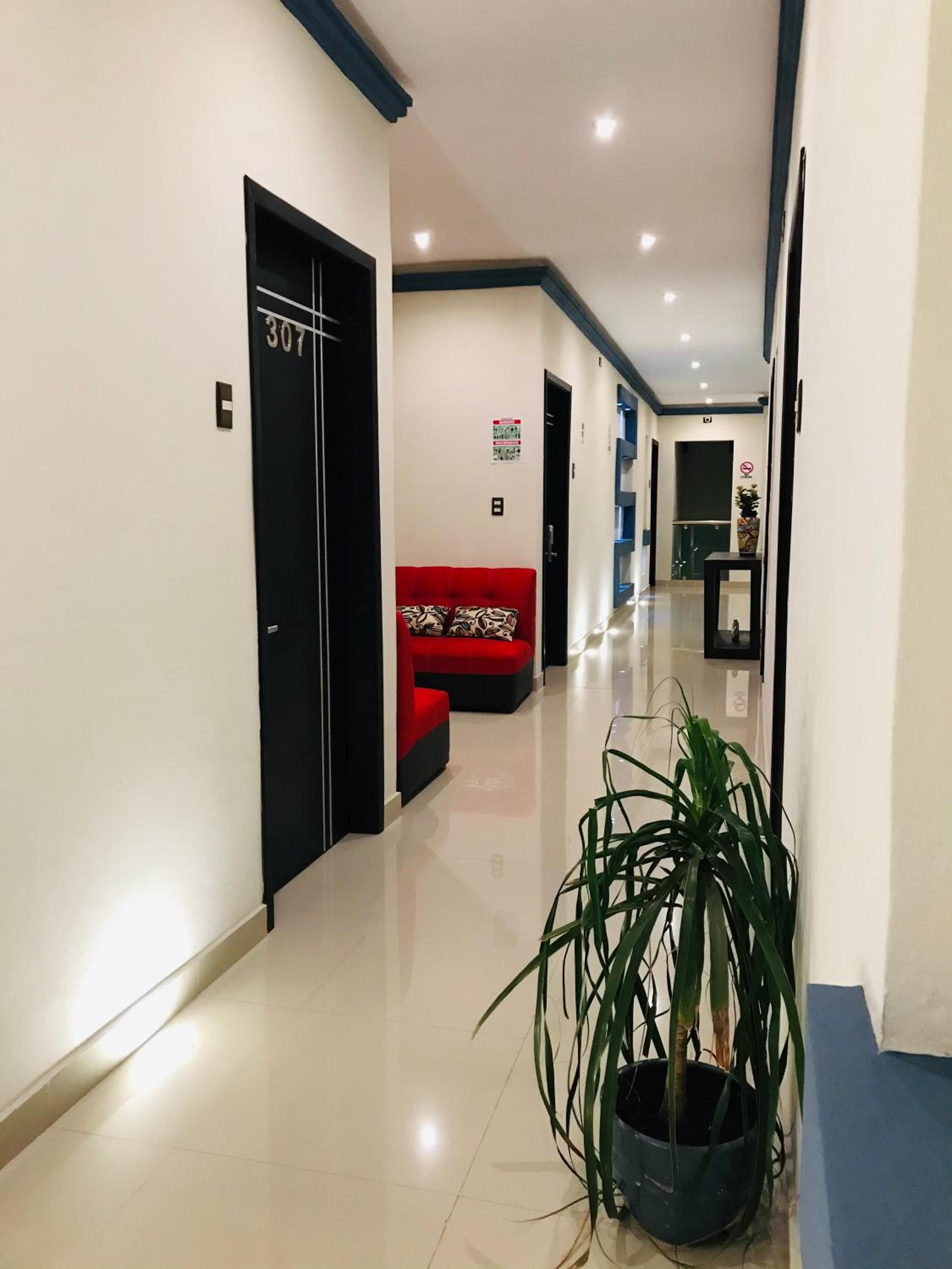 Basic Triple Room