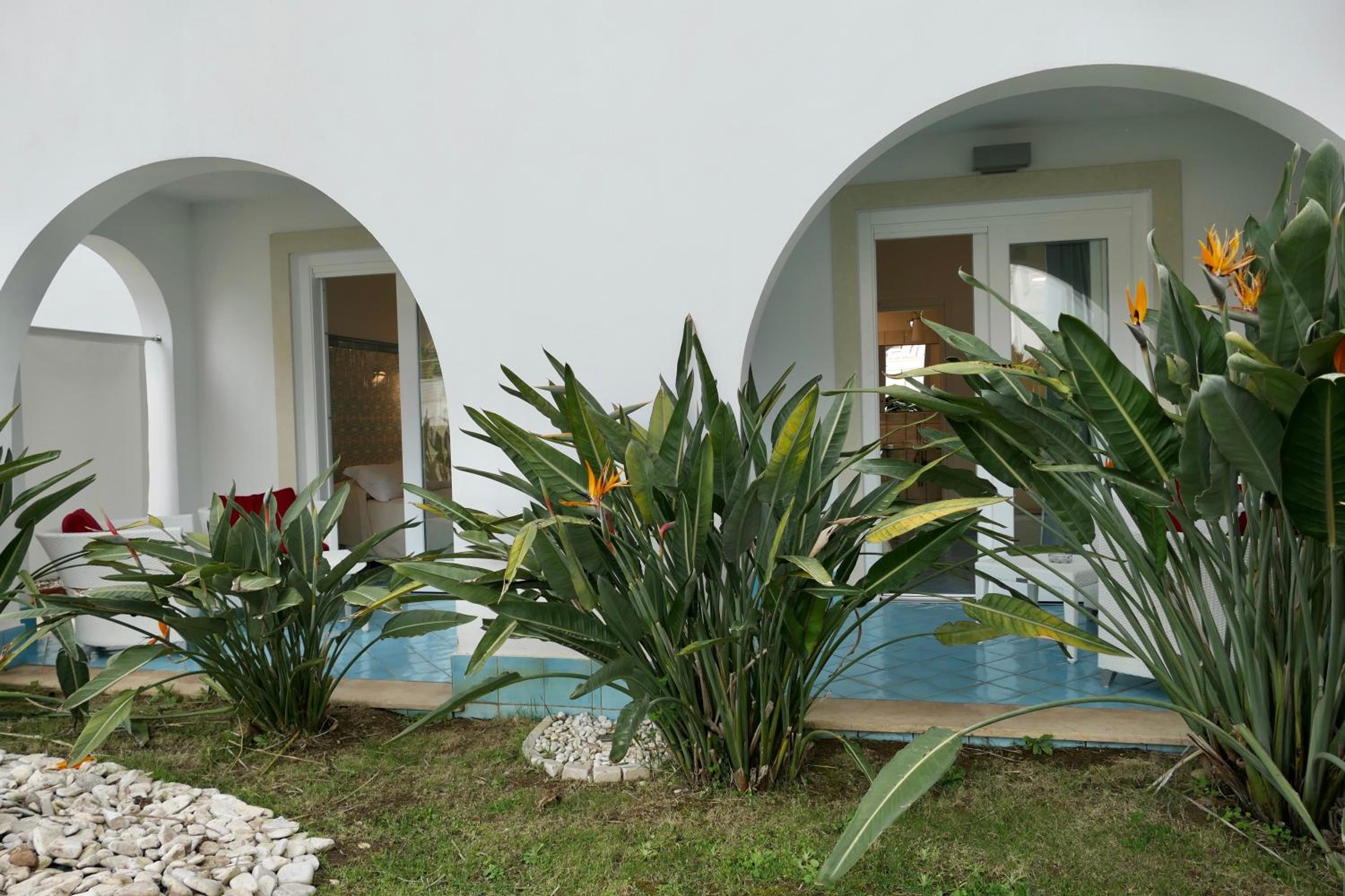 Suite - Photo 14