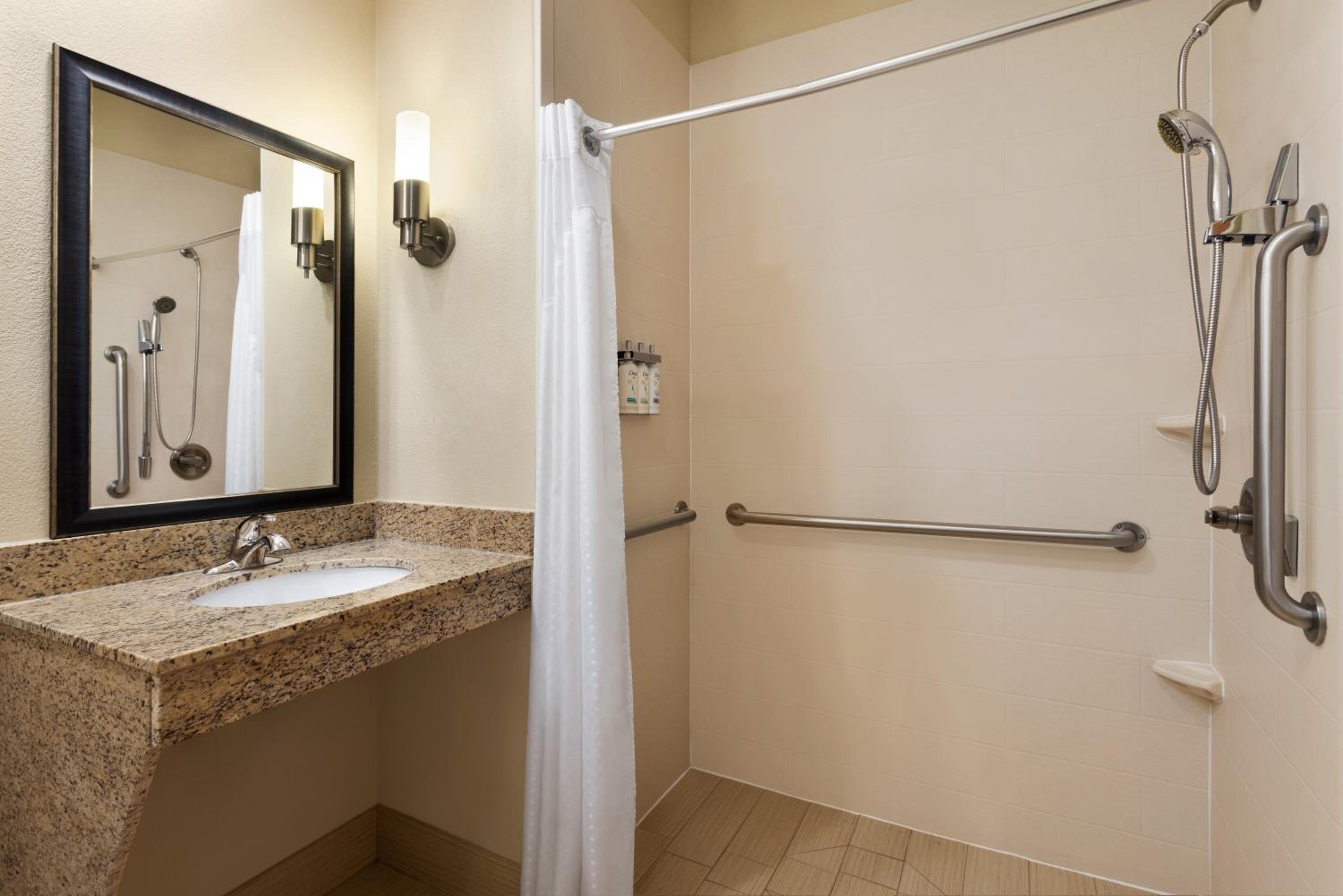 Standard King Room with Mobility Accessible Roll-In Shower - Photo 6