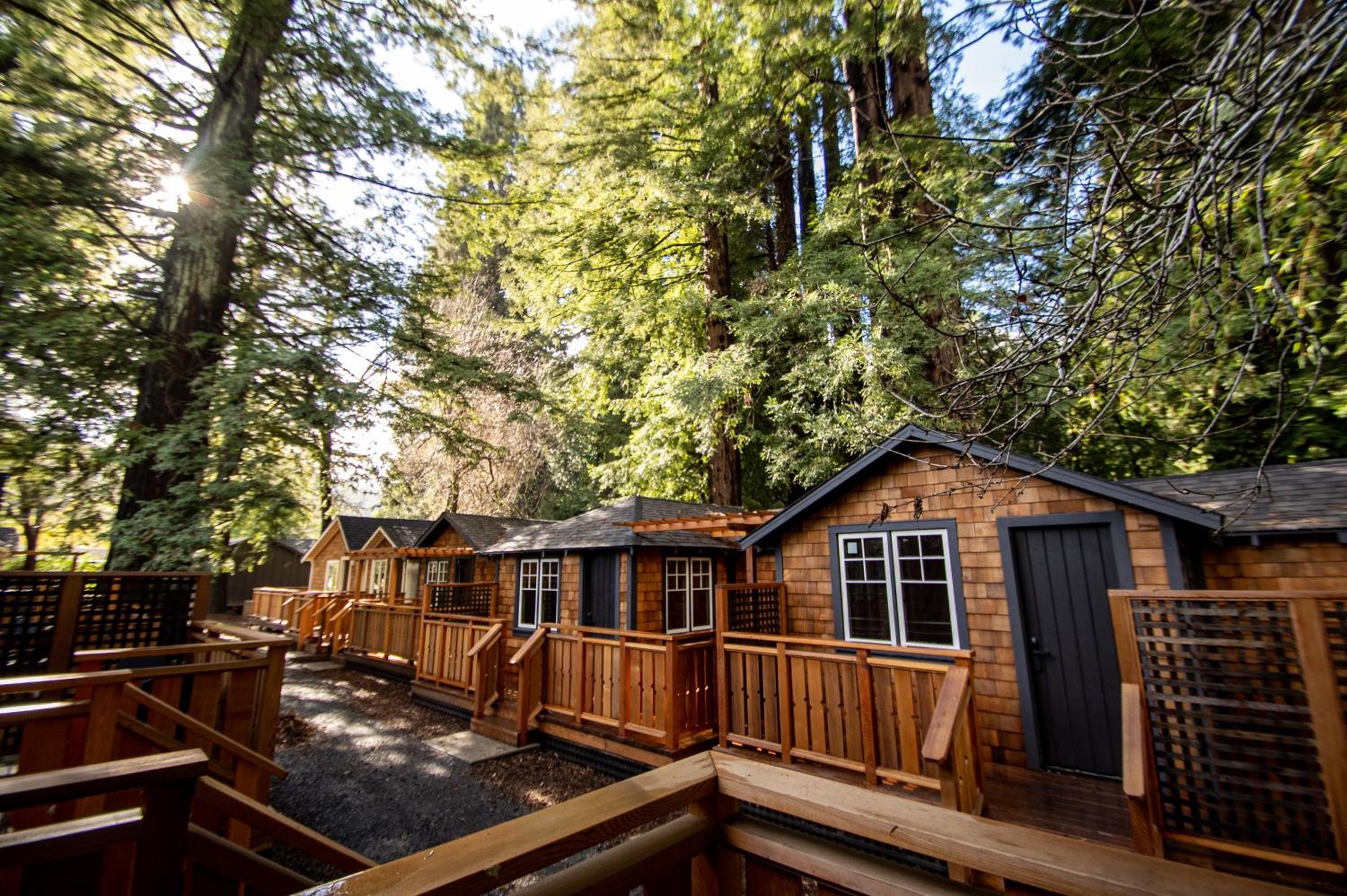 Redwood Cabin - Photo 6