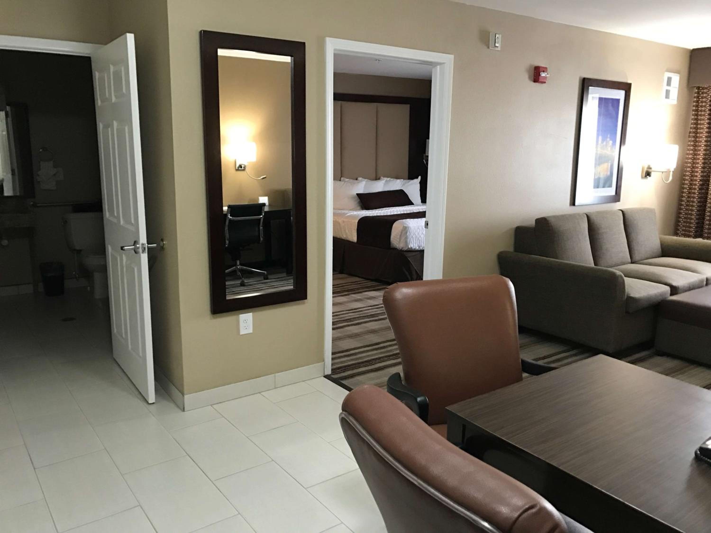King Suite with Sofa Bed and Kitchen- Non-Smoking - Photo 7