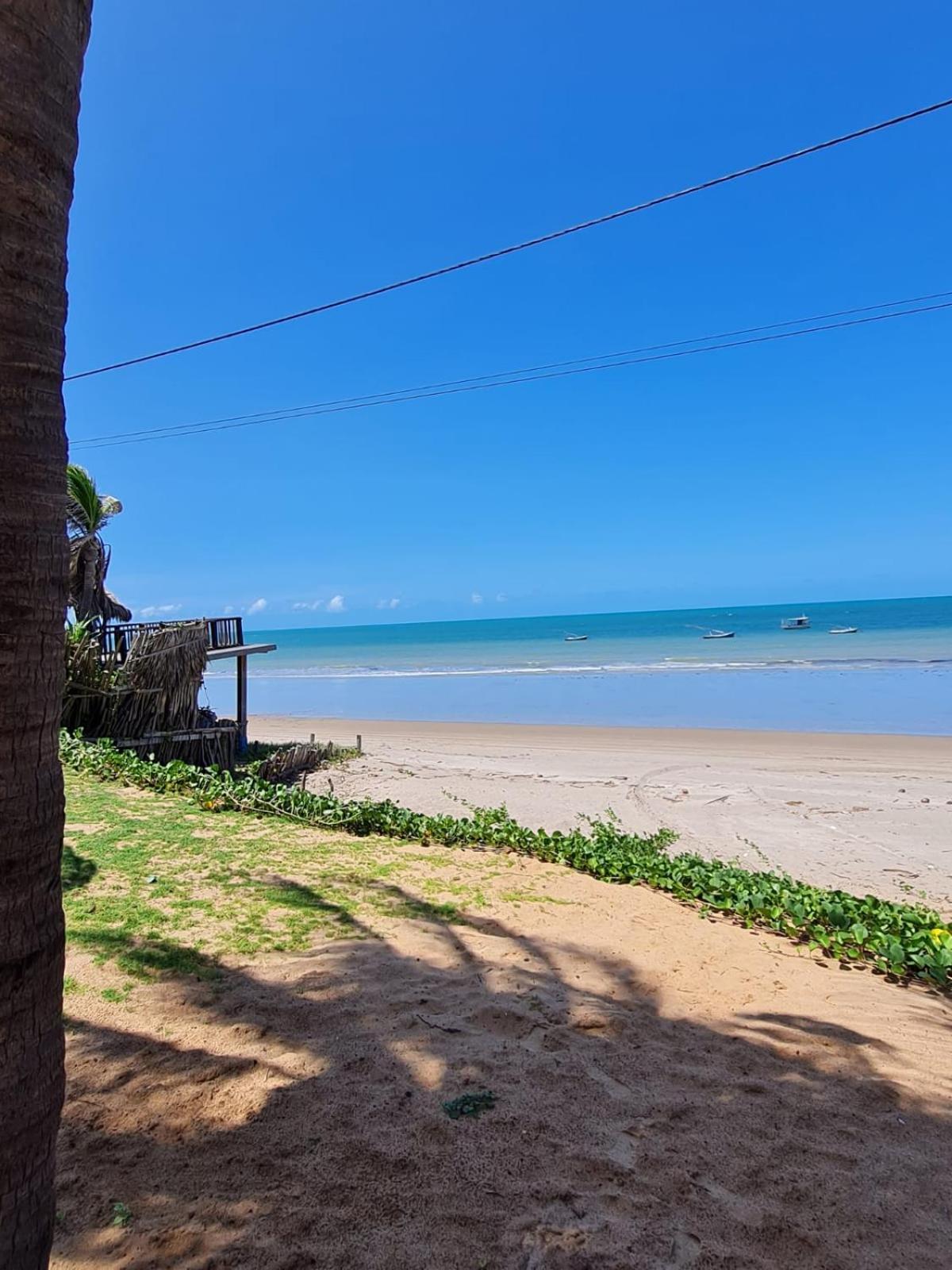 Double Room with Balcony and Sea View photo 2