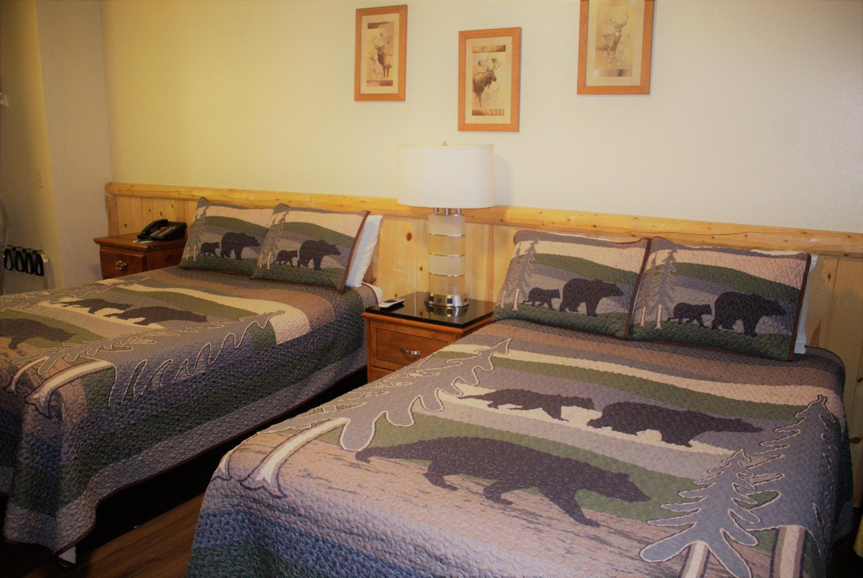 Standard Double Room - Photo 9
