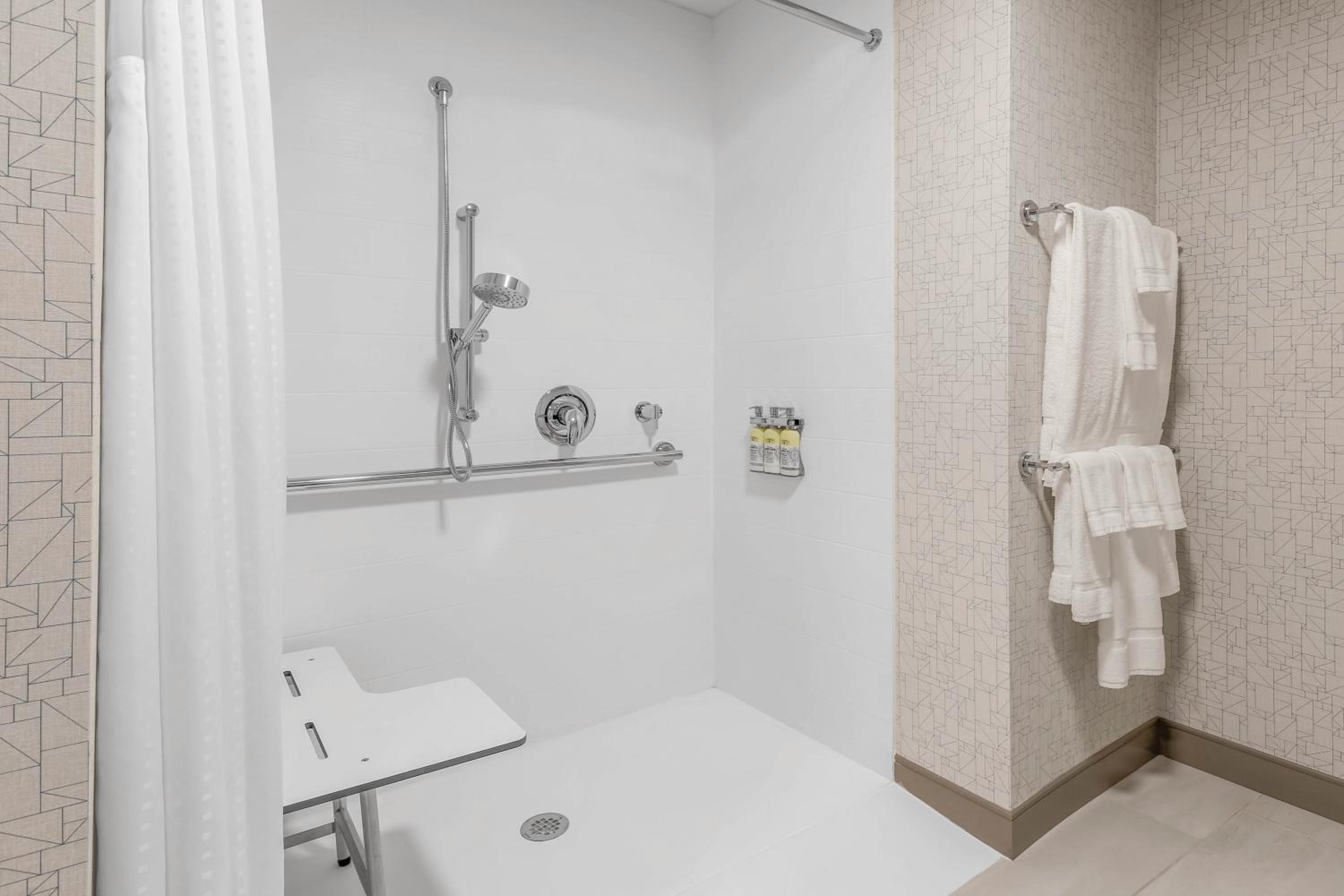 Suite - Mobility Access Roll in Shower/Non-Smoking - Photo 4