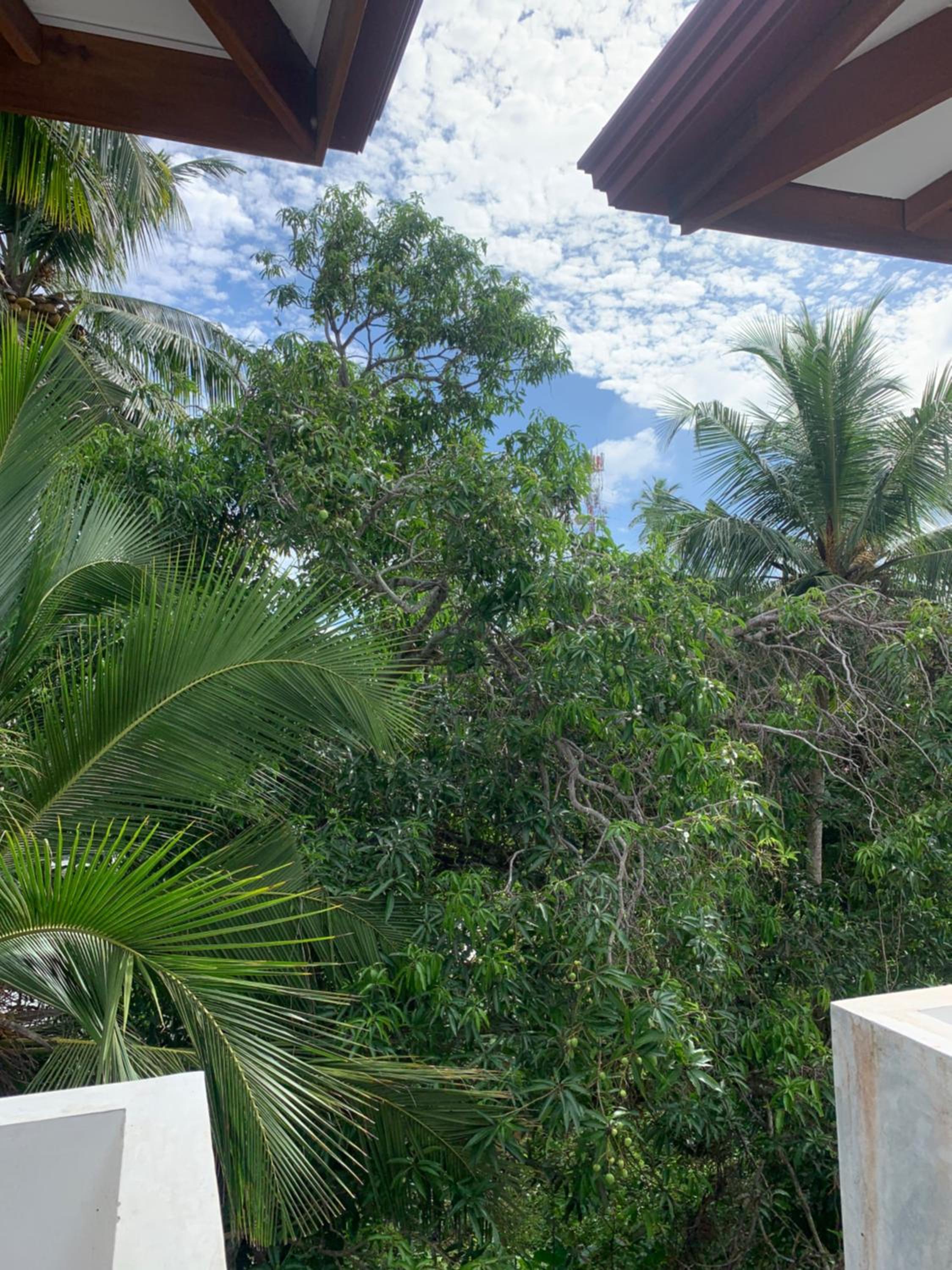 Double Room with Pool View photo 3