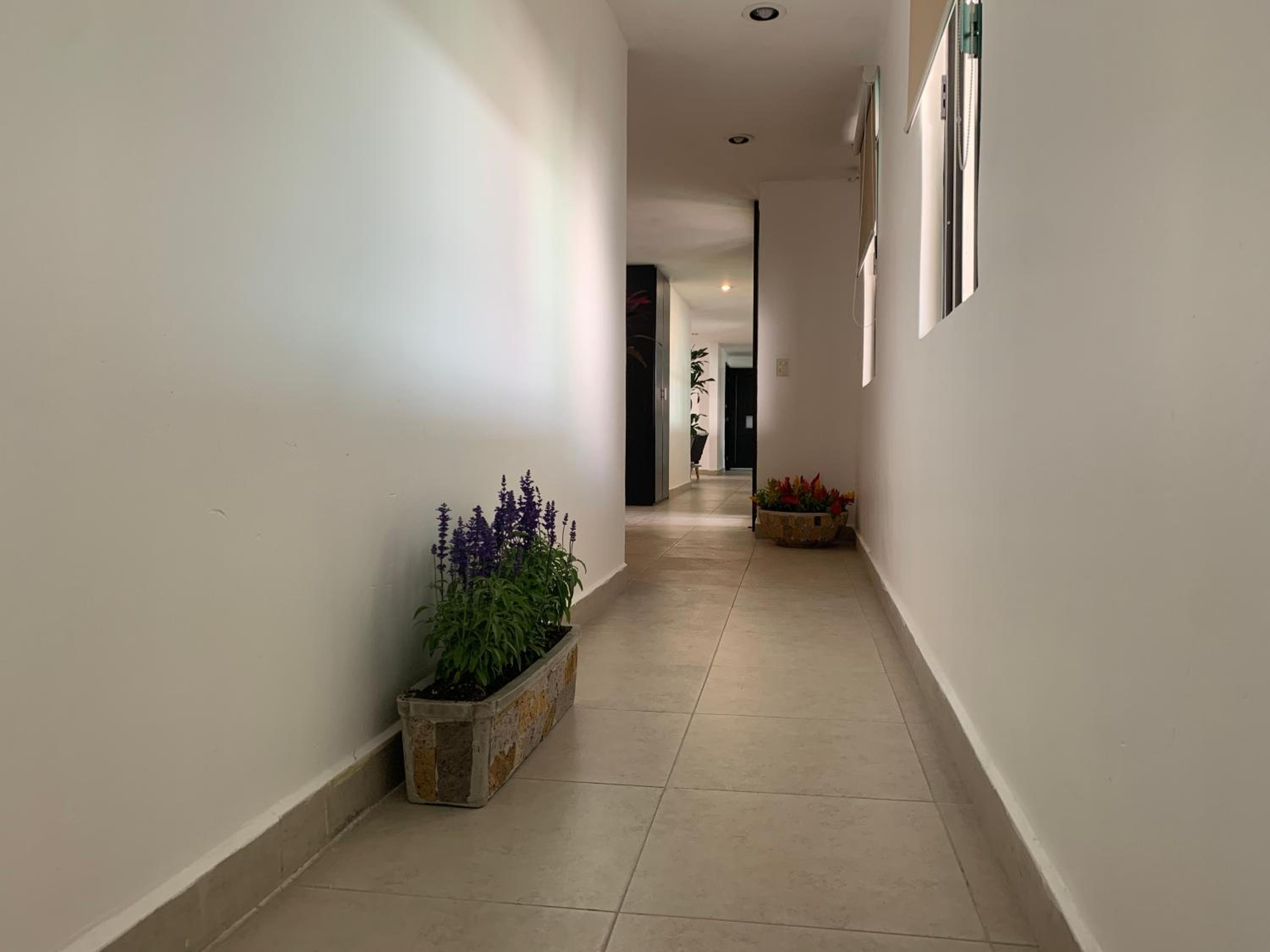 Superior Apartment photo 3