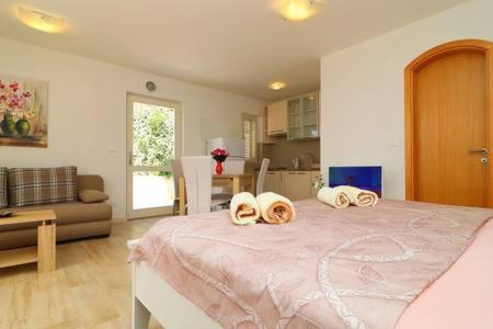Studio Apartment with Terrace and Sea View photo 1