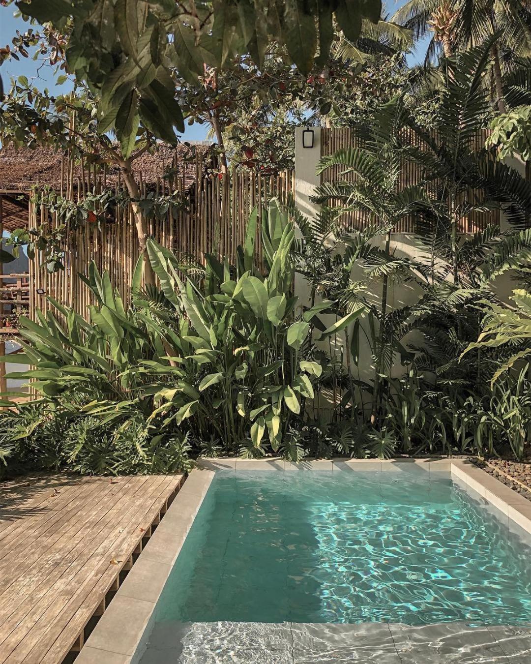 Suite with Pool View - Photo 5