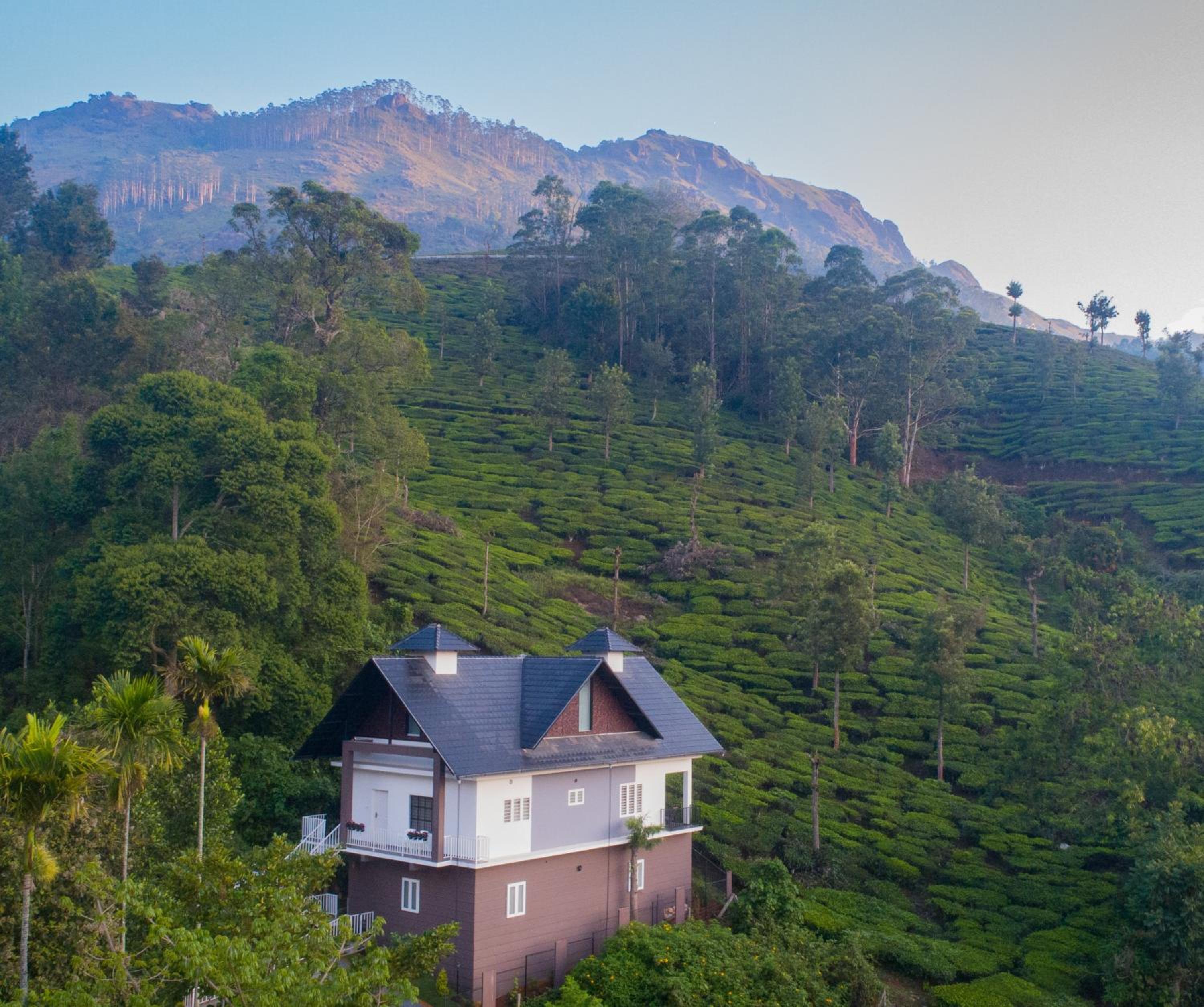 Superior Suite With Tea Plantation View photo 3