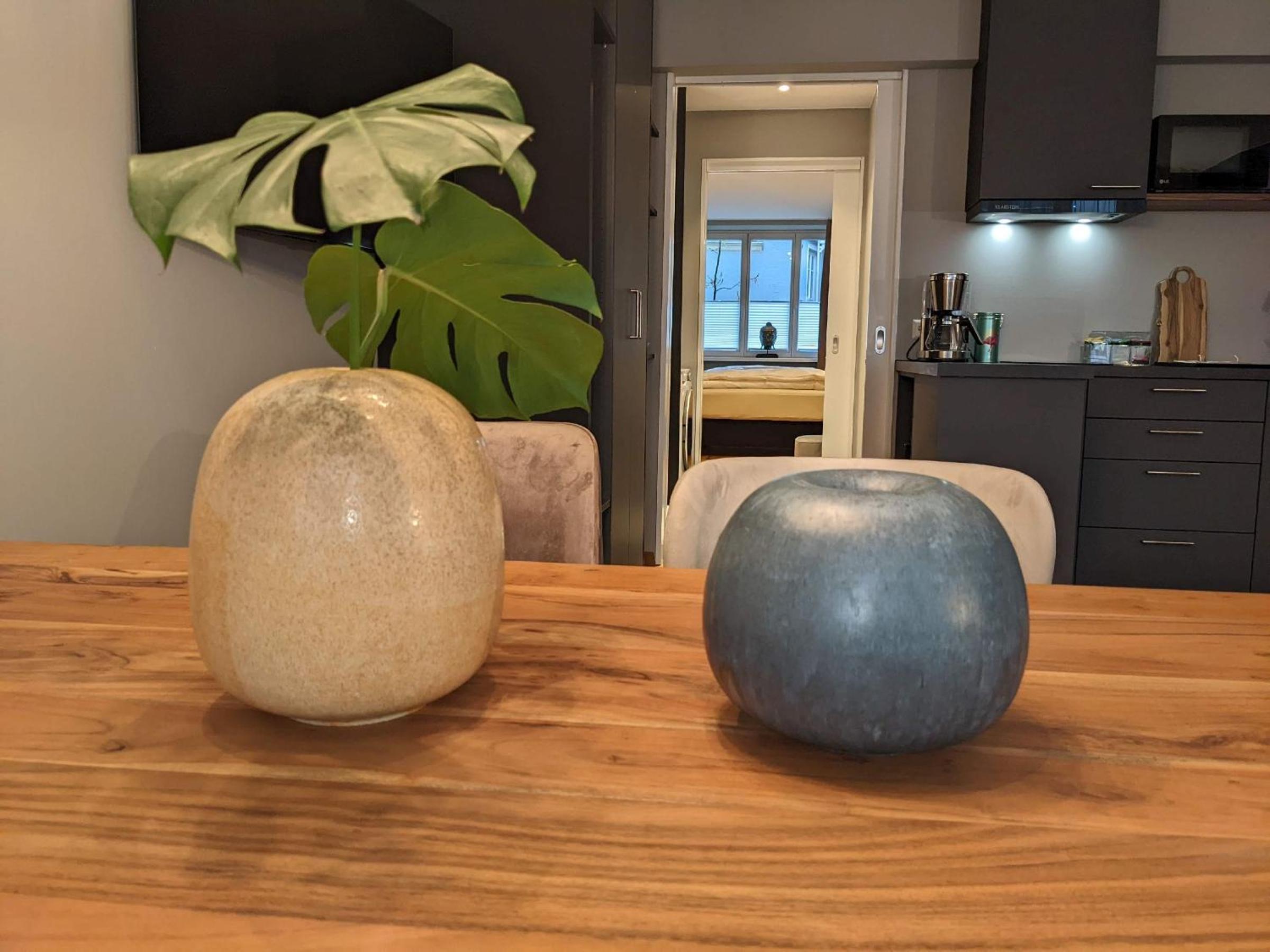 One-Bedroom Apartment with Lake View photo 3