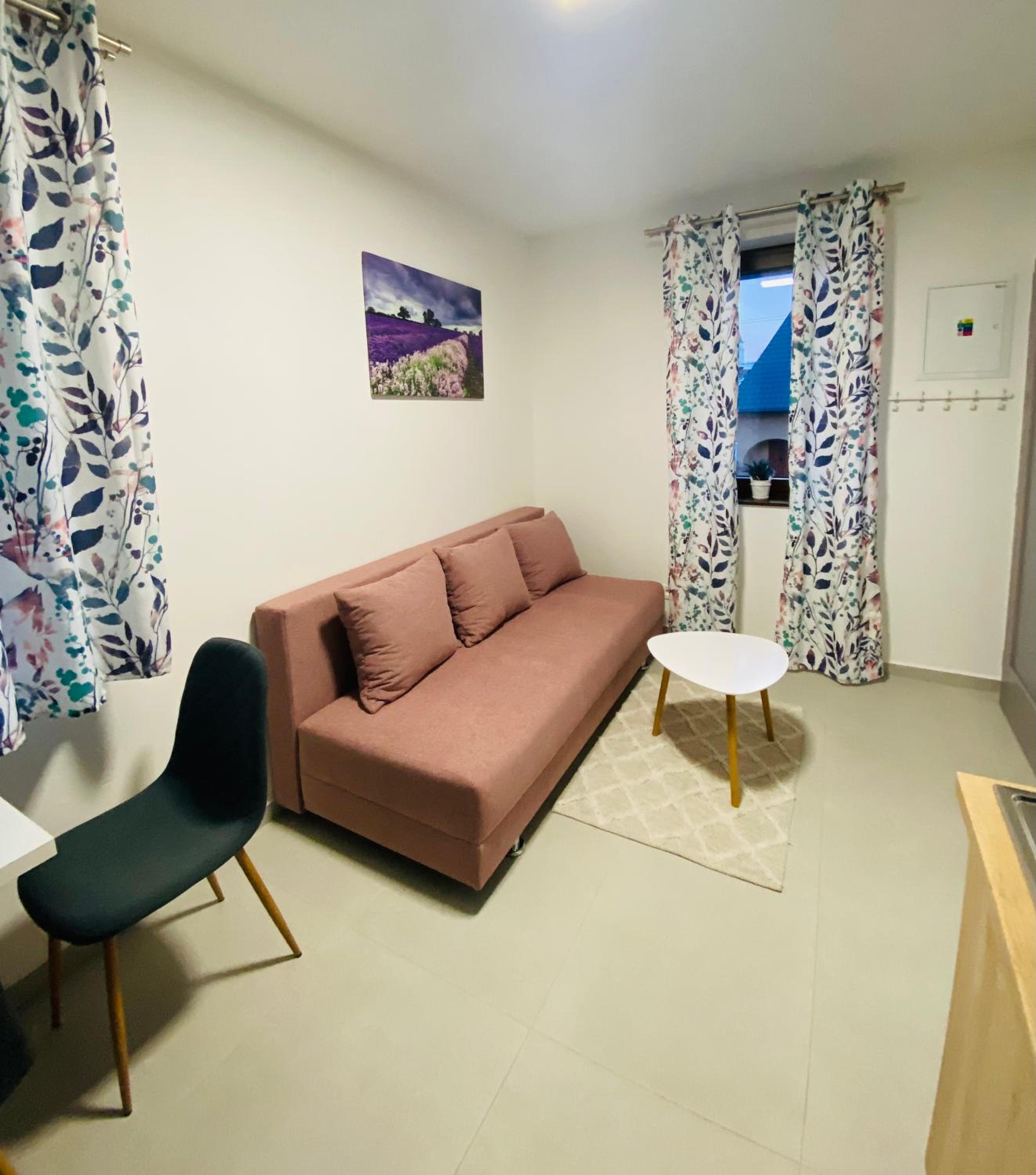 One-Bedroom Apartment - Photo 2