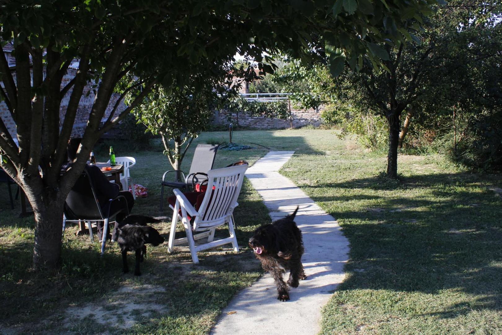 Studio with Terrace photo 3