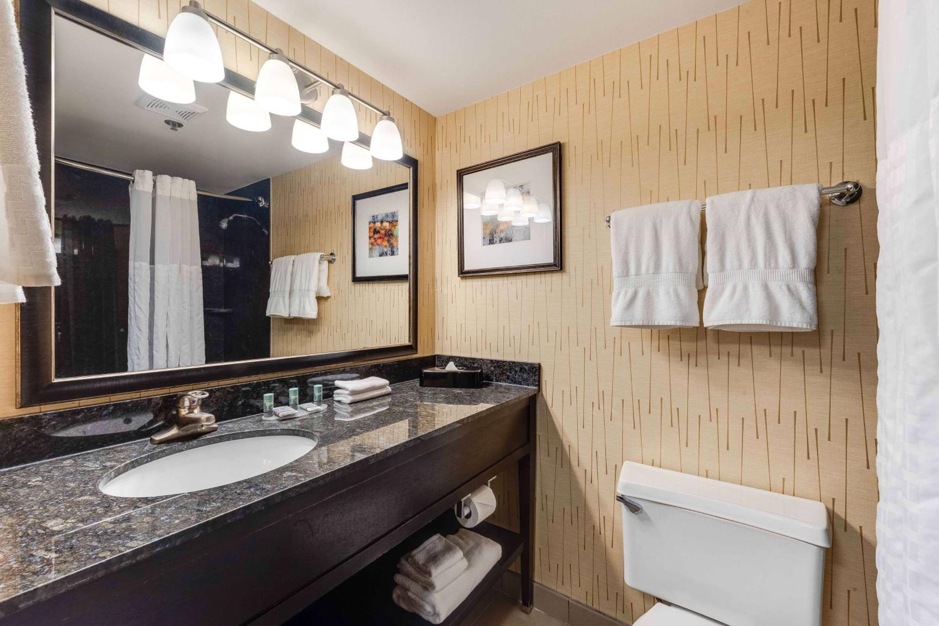 King Suite with Sofa Bed - Photo 3