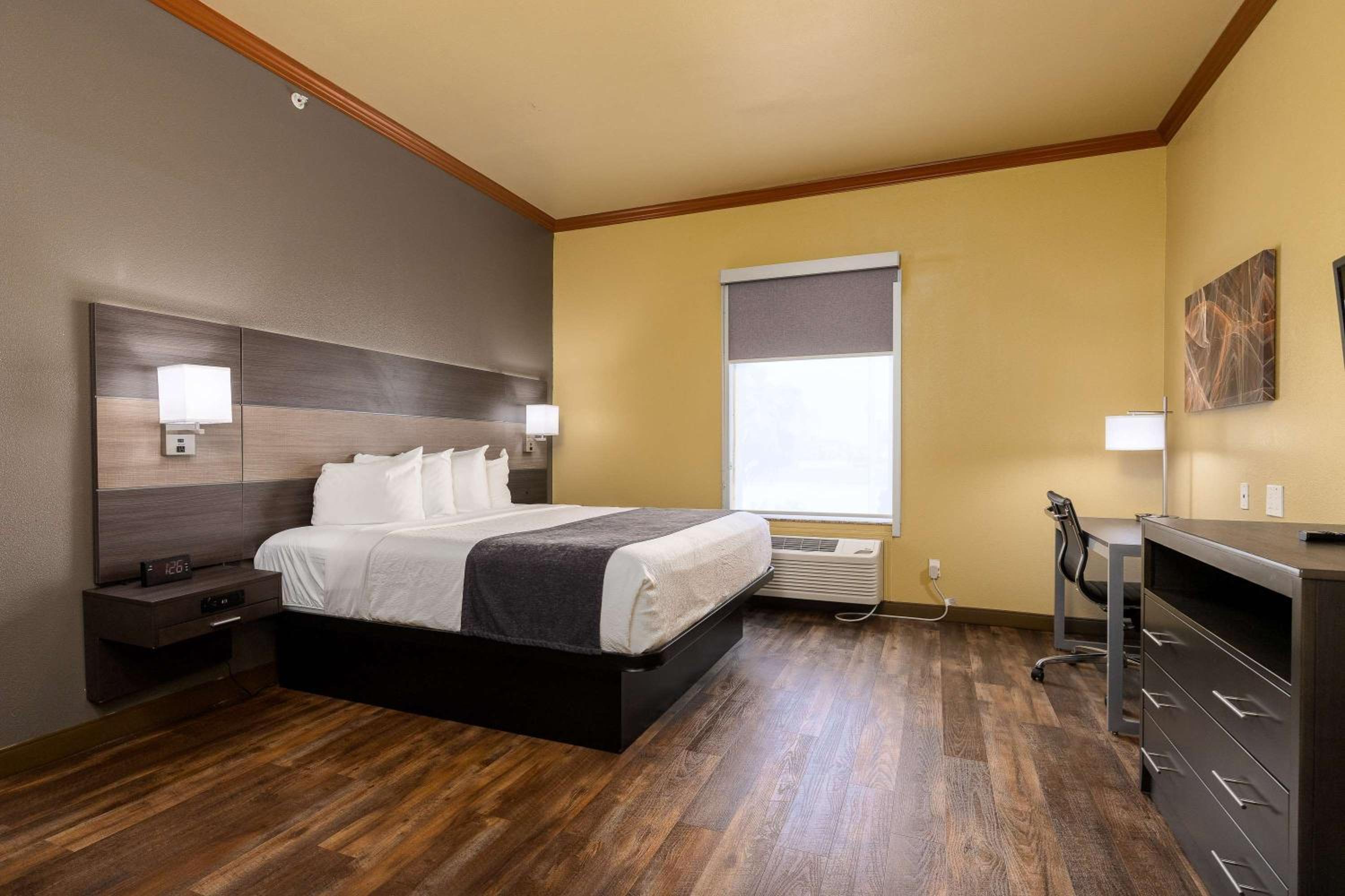 King Room