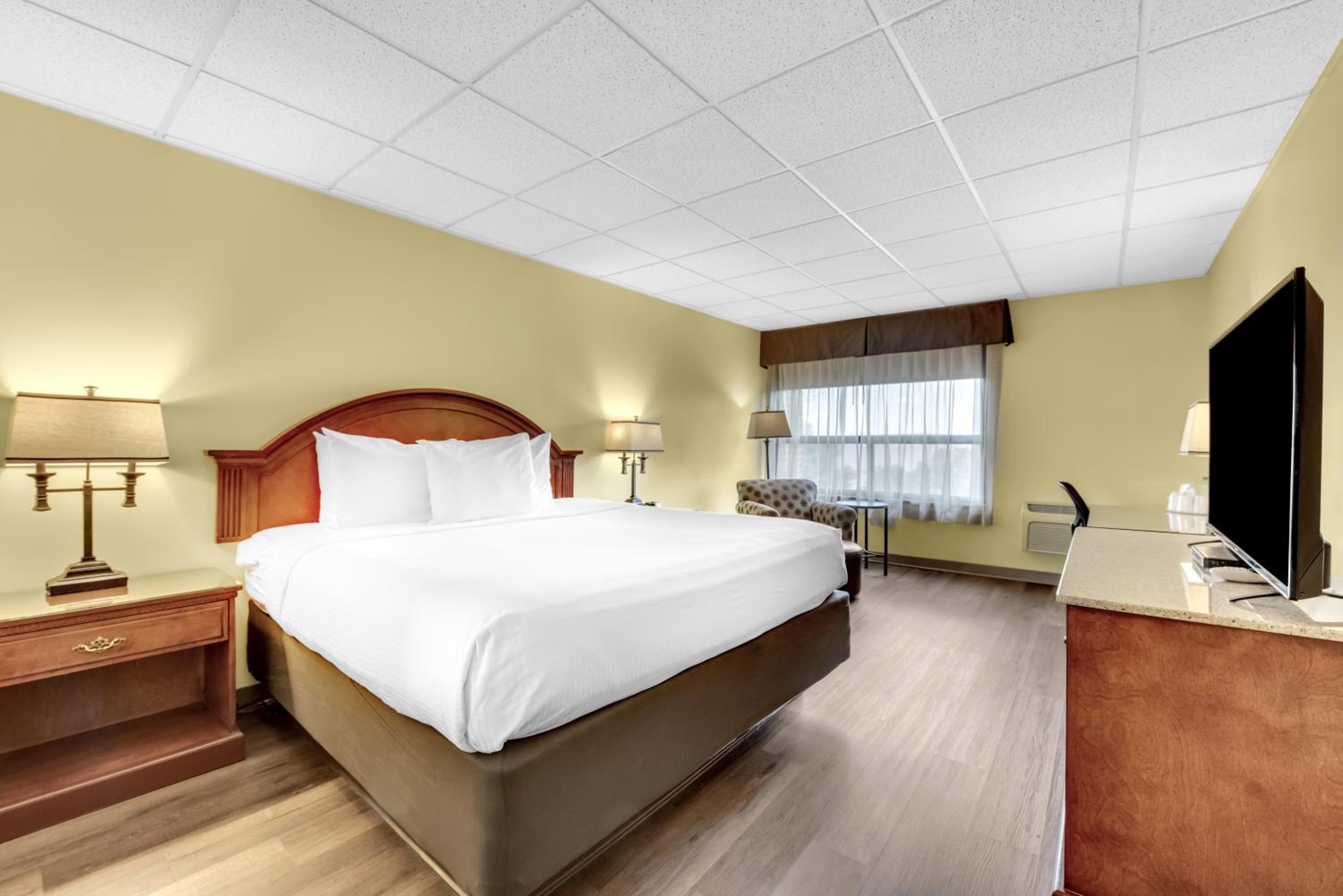 King Room - Pet Friendly - Photo 1