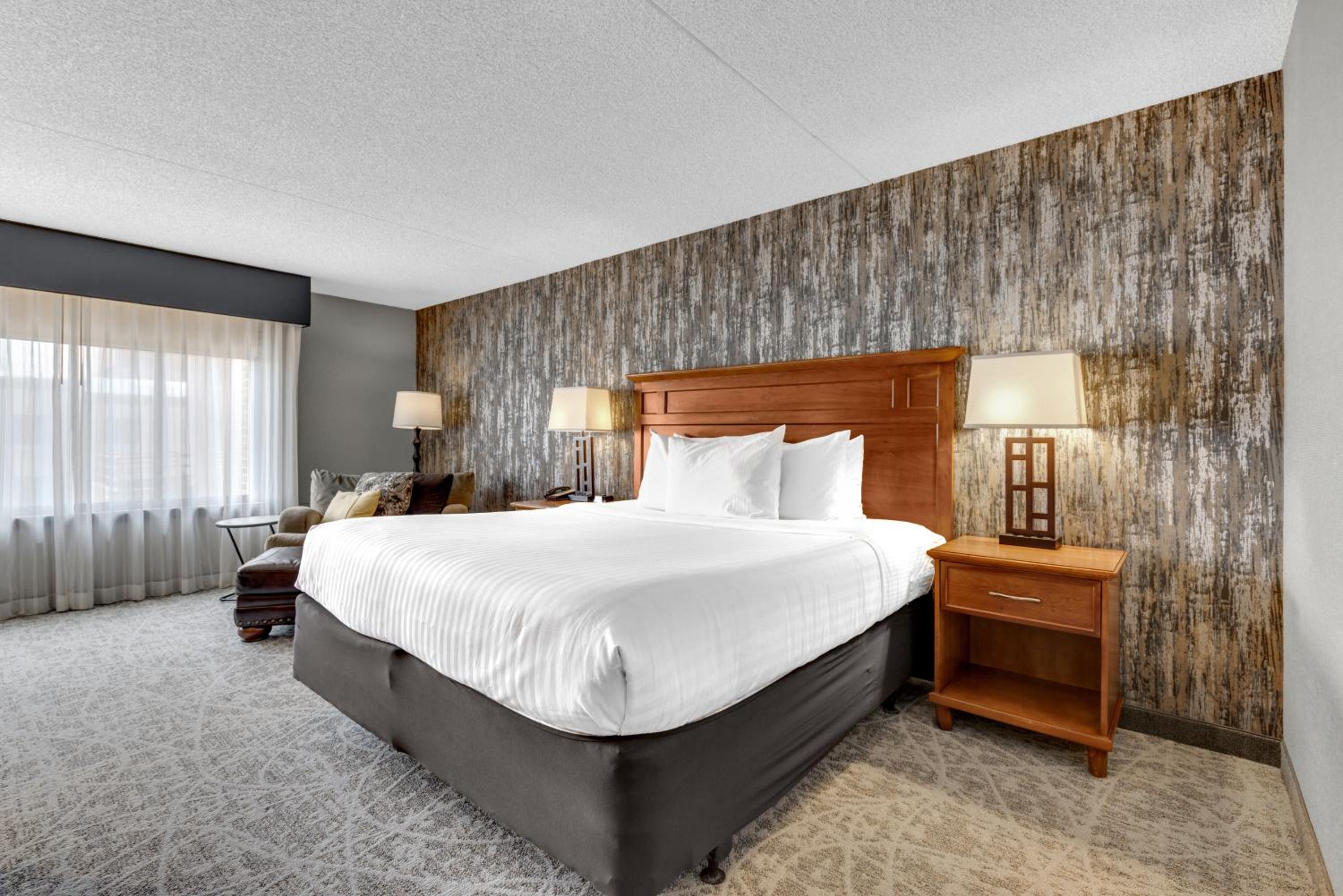 Deluxe King Room - No pets - Photo 1