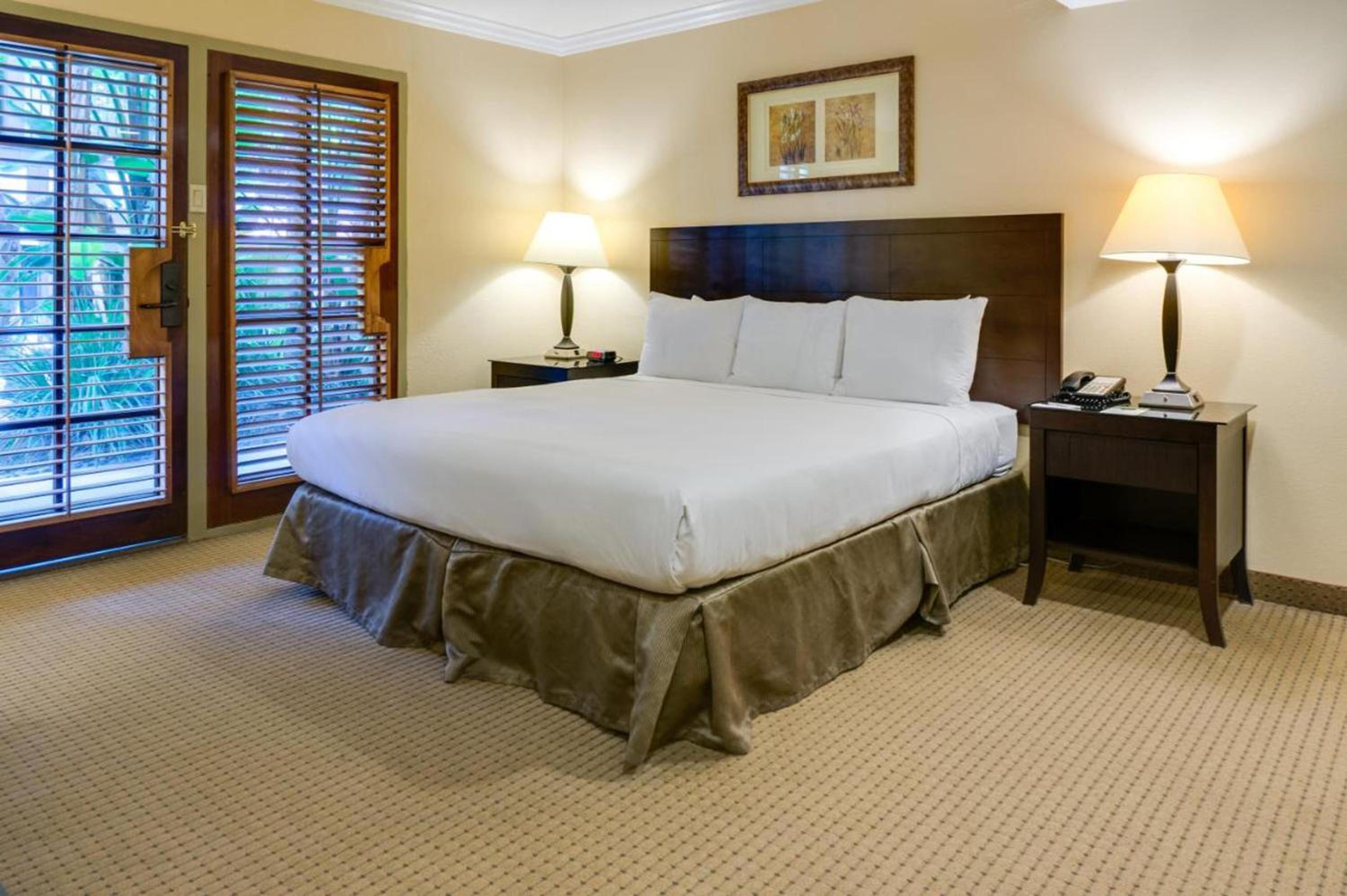 One-Bedroom Suite with Sofa Bed - Photo 2
